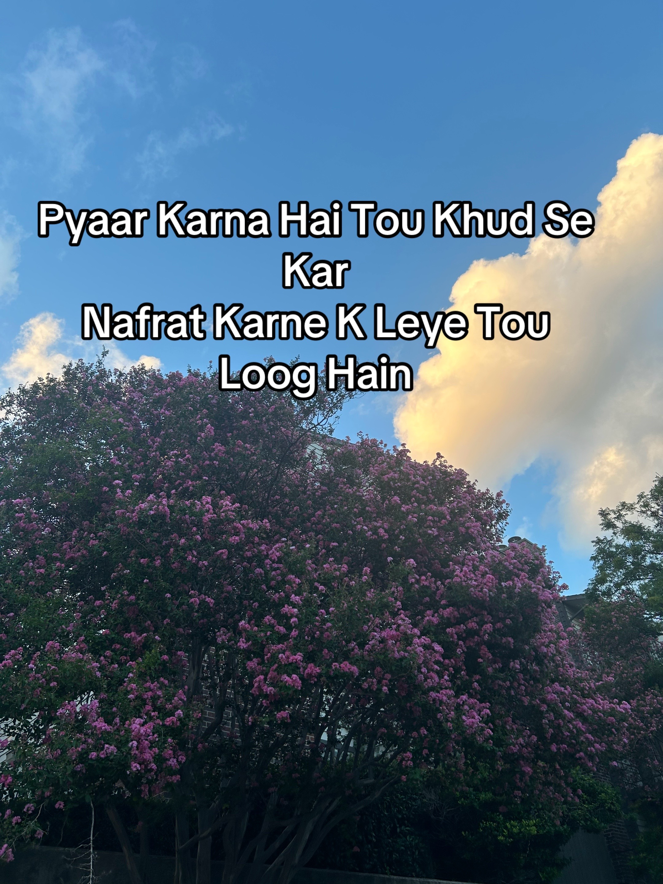 @ZaraHayat020104