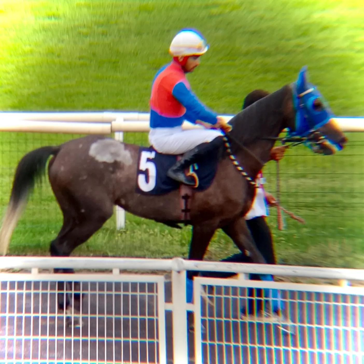 @brs horse racing
