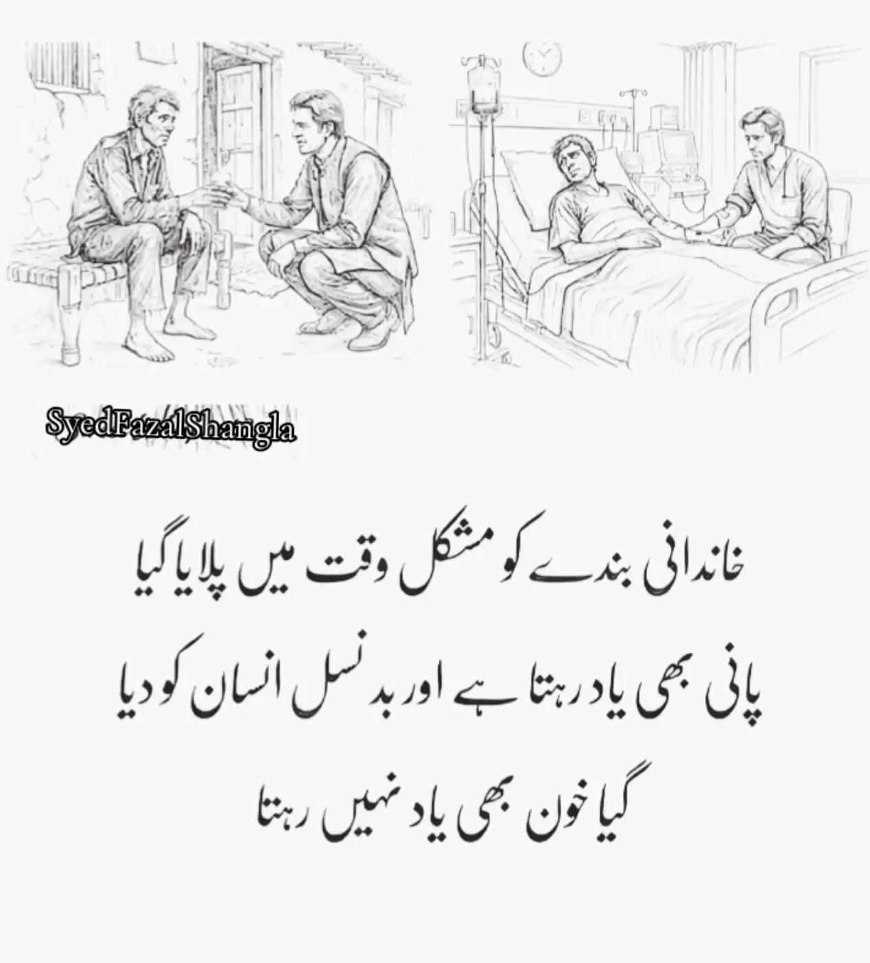 @Syed Fazal hashmi 🇵🇰 🇶🇦