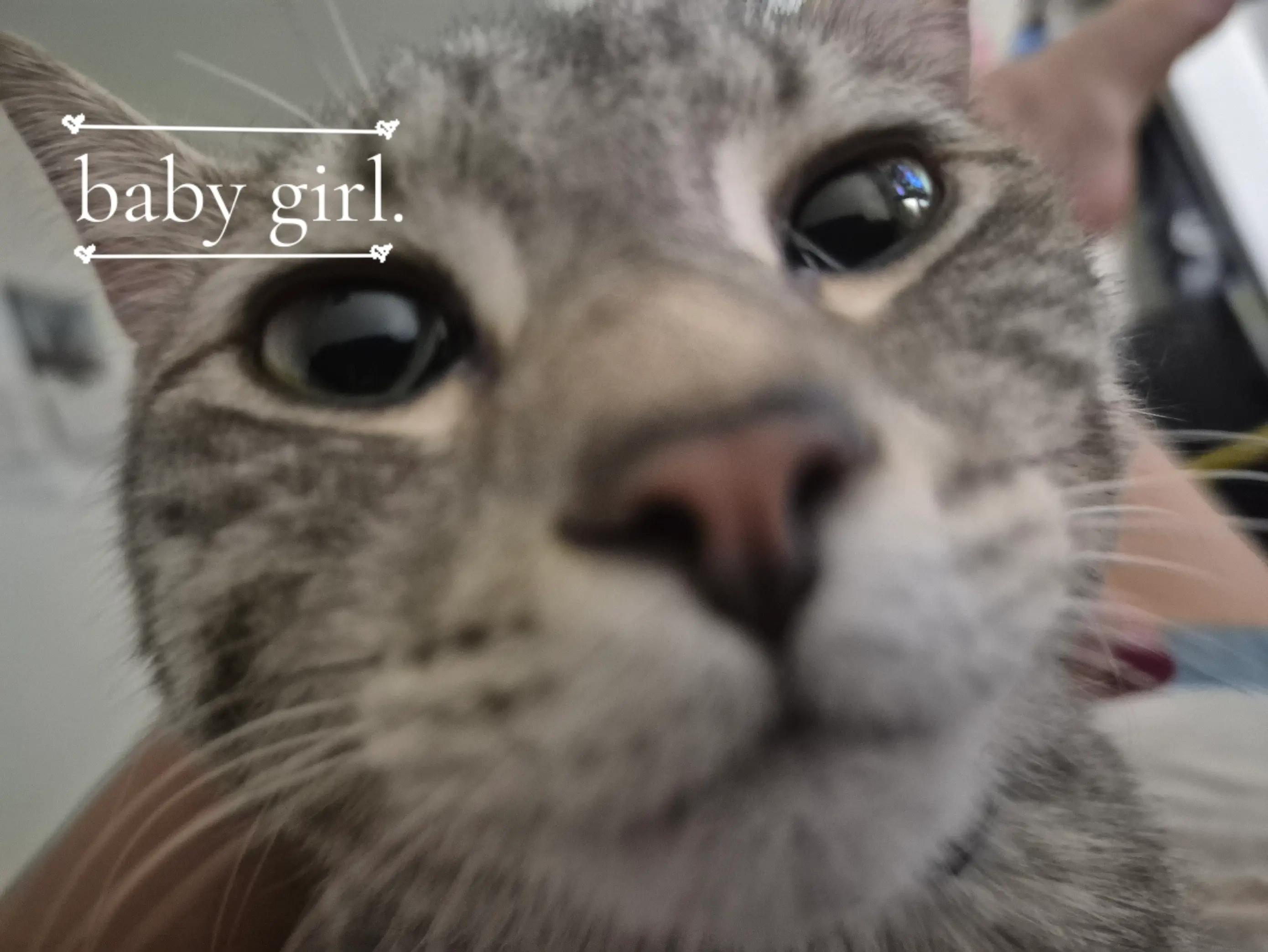 @♡kat♡