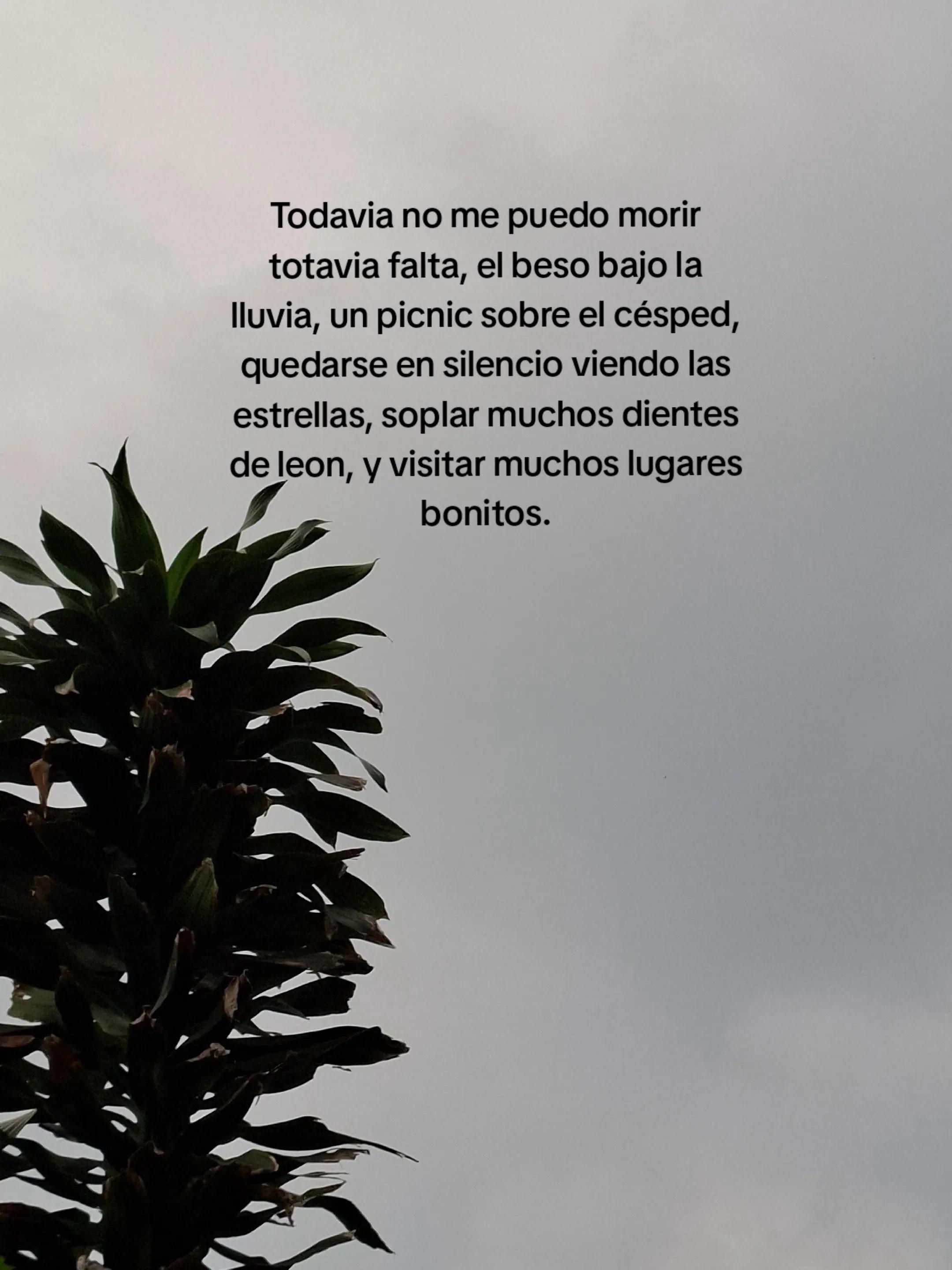@🦋🐛Mare VB🦋🐛