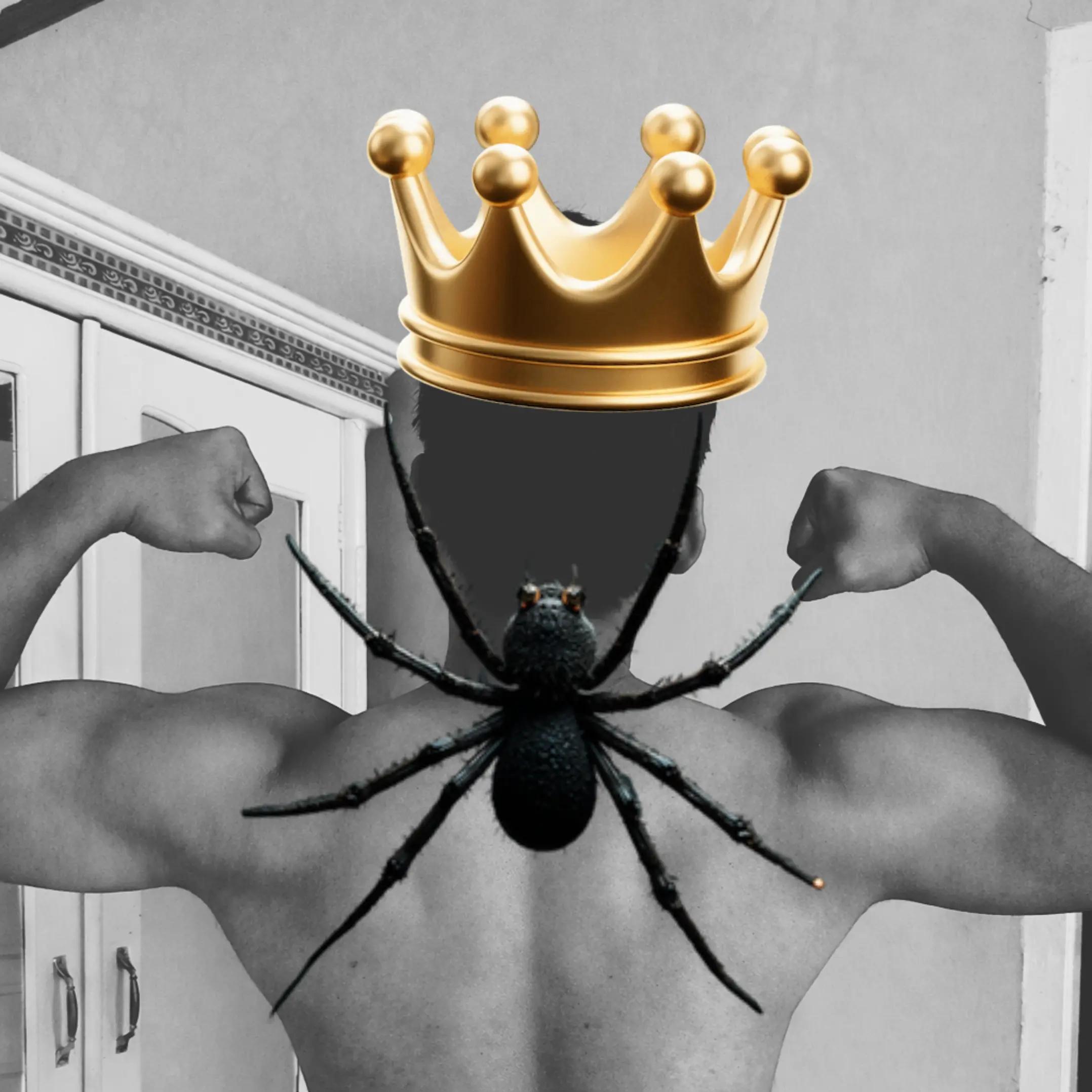@faktamenarik