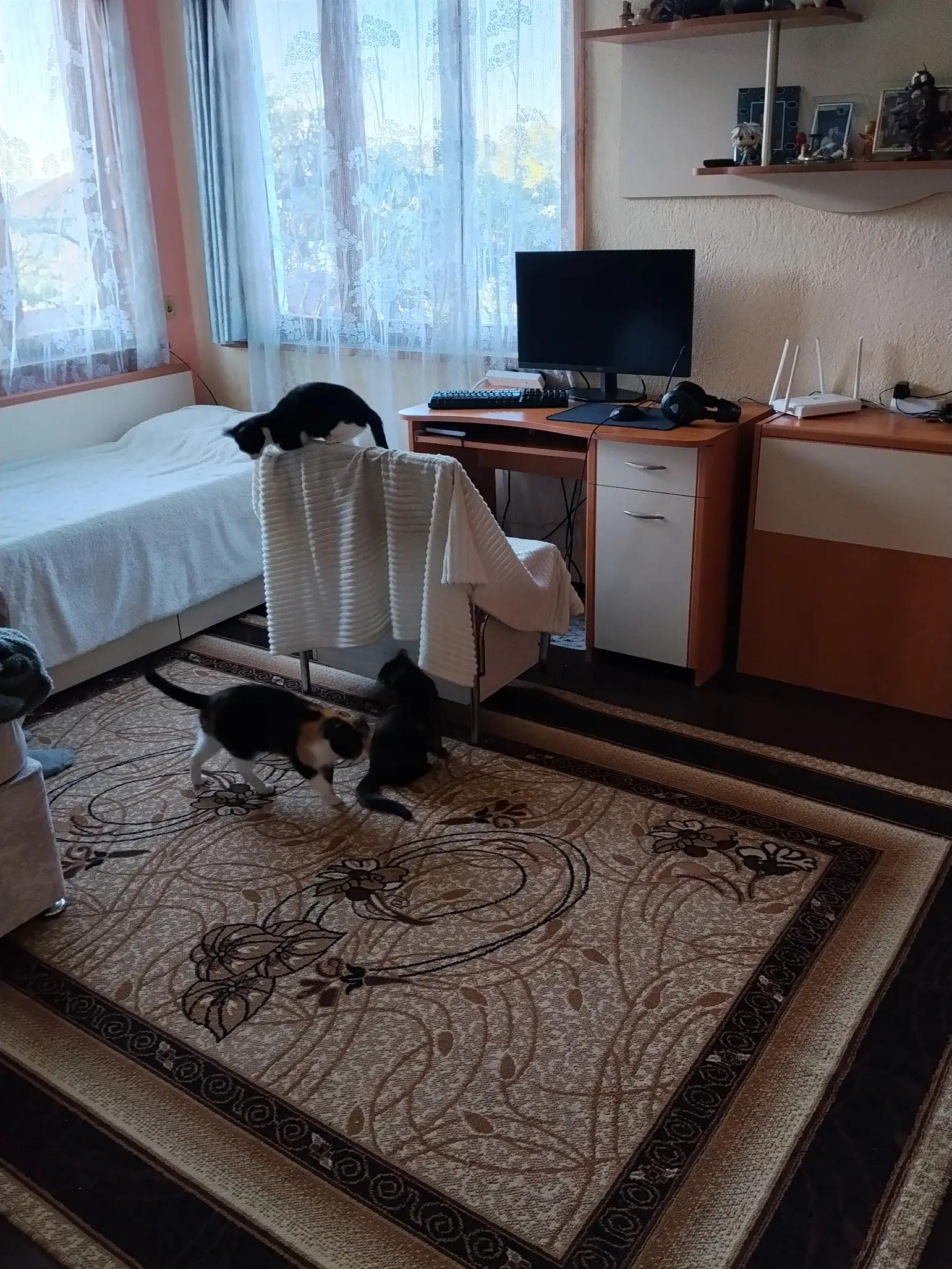 @Katq Pensheva