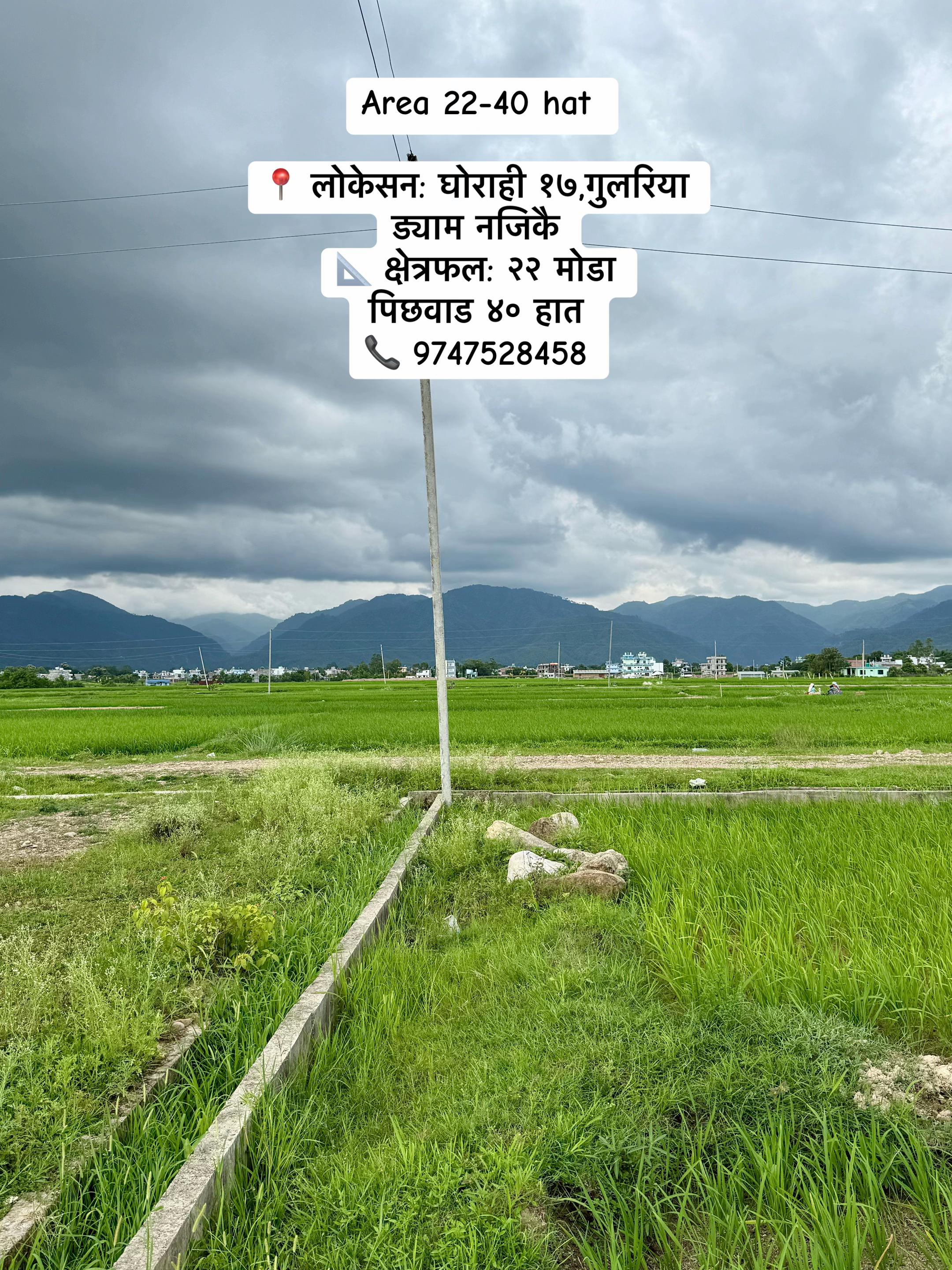@Gurubaba Real estate Dang
