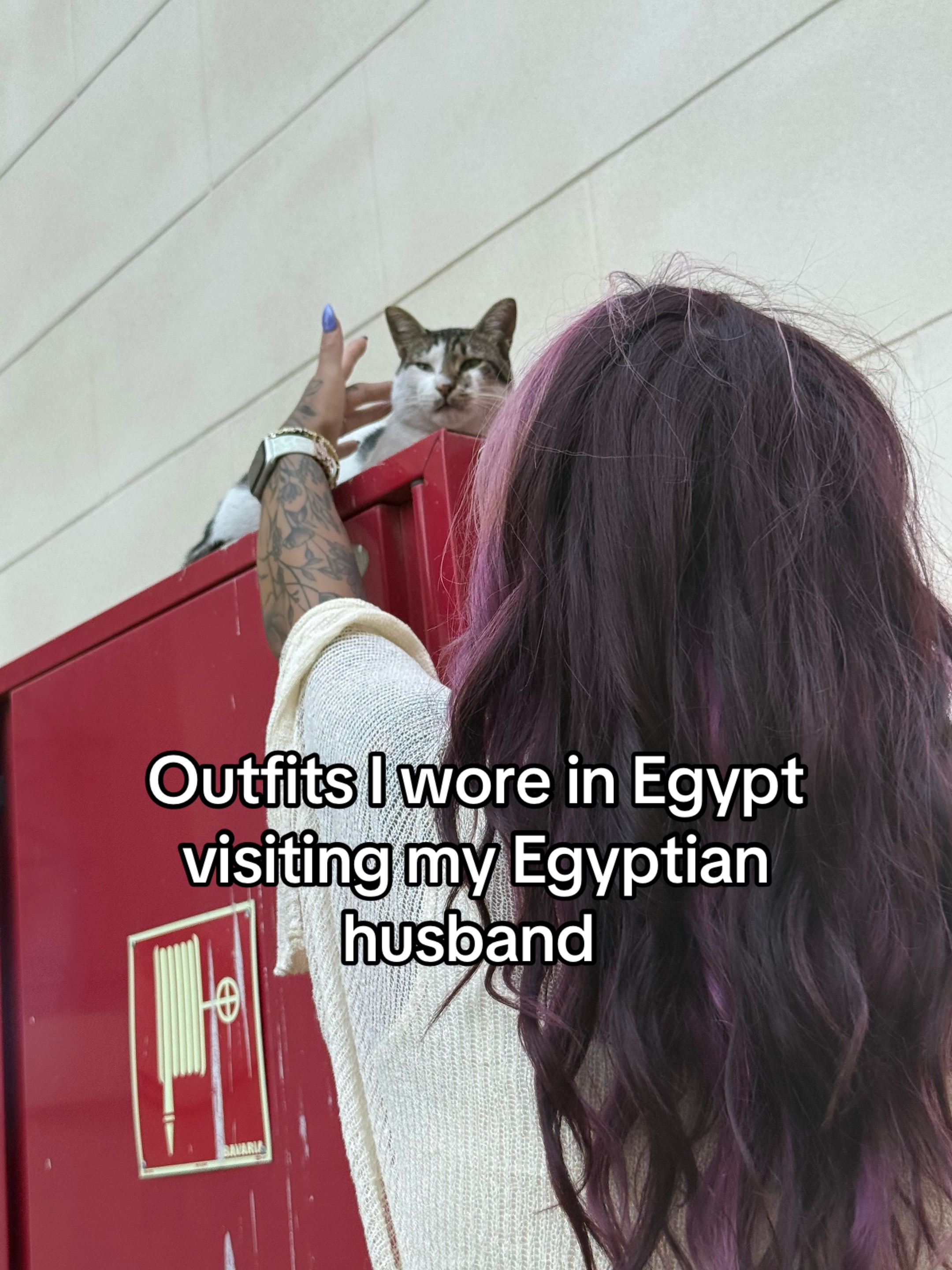 @Julia K 🇺🇸❤️🇪🇬