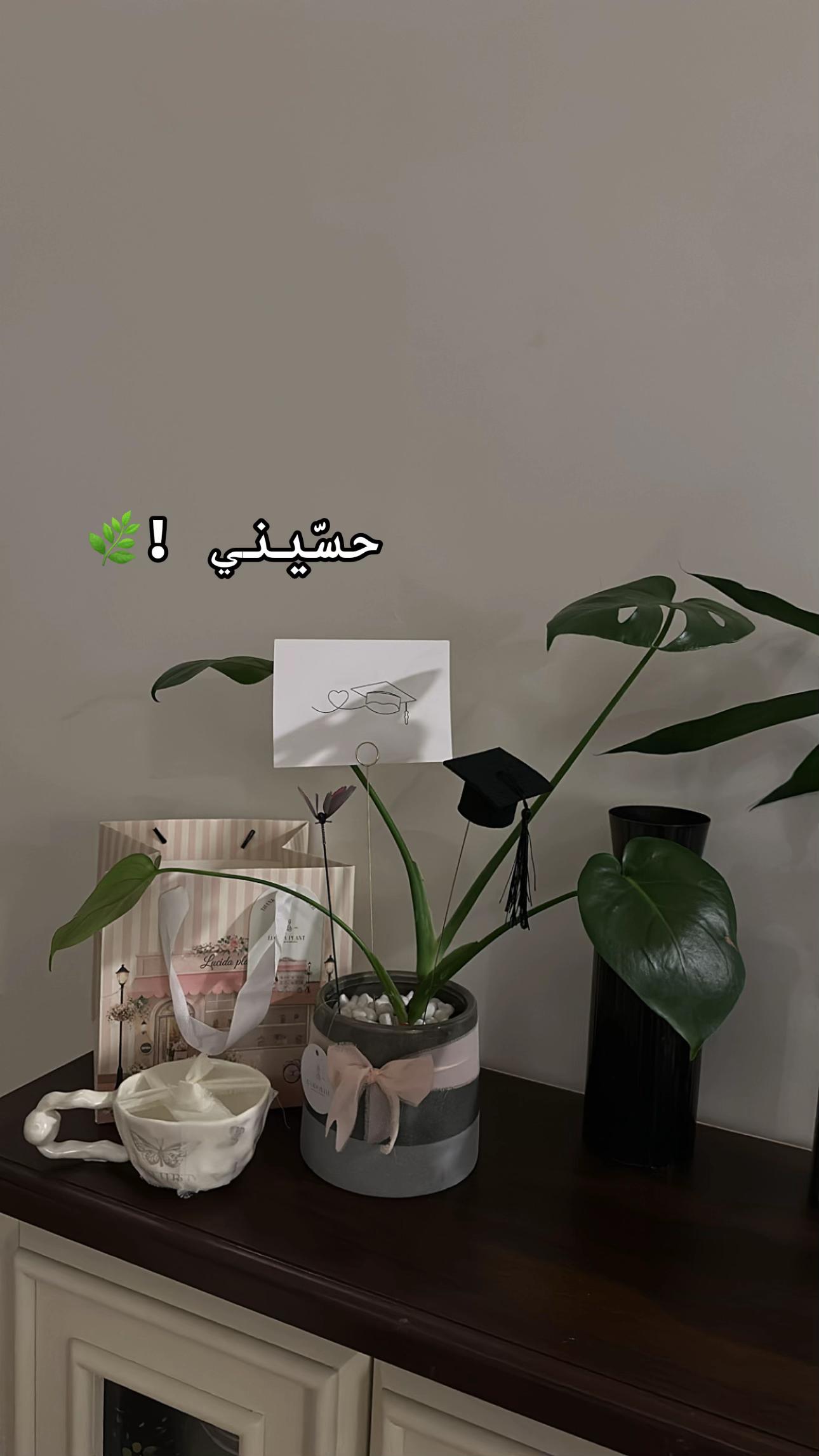 @لوسيـدا-الباحة🪴
