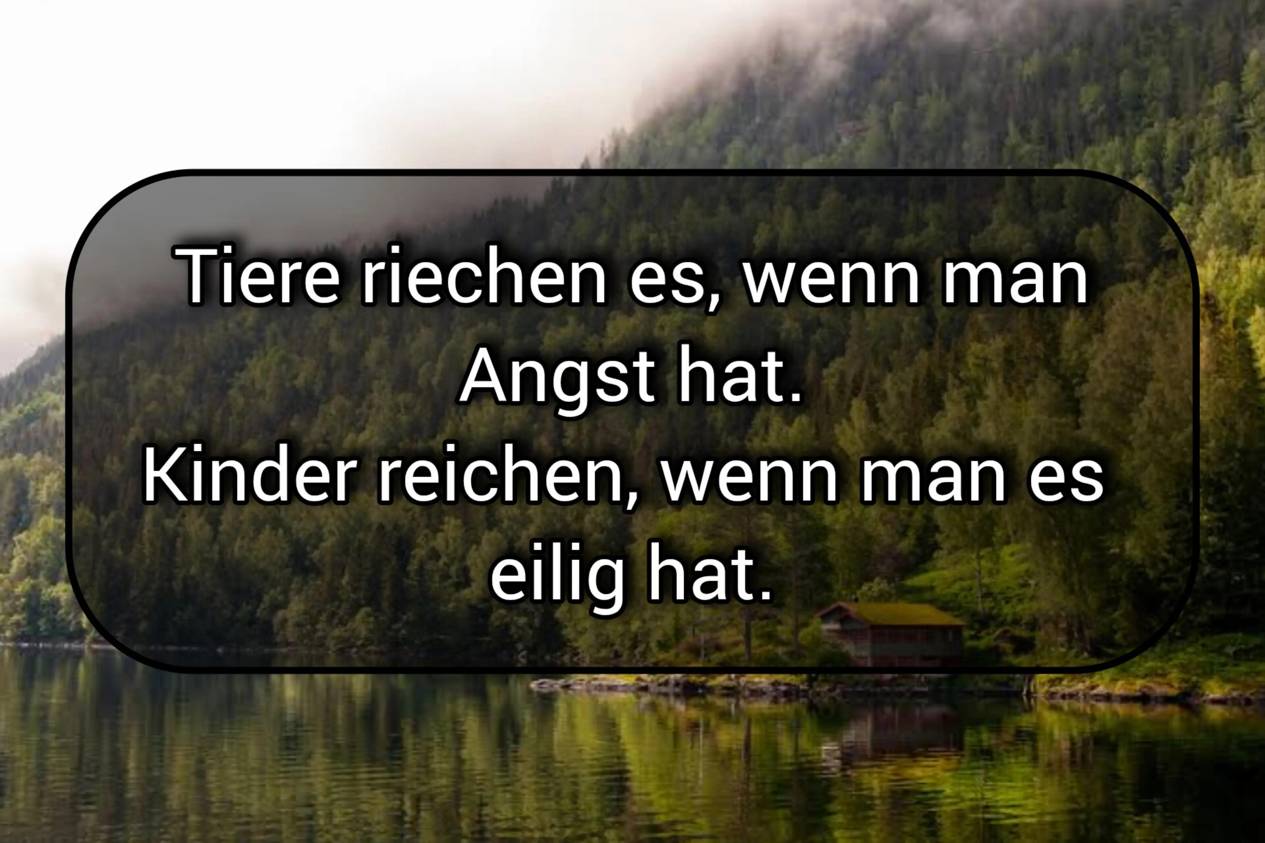 @DerSVMarder