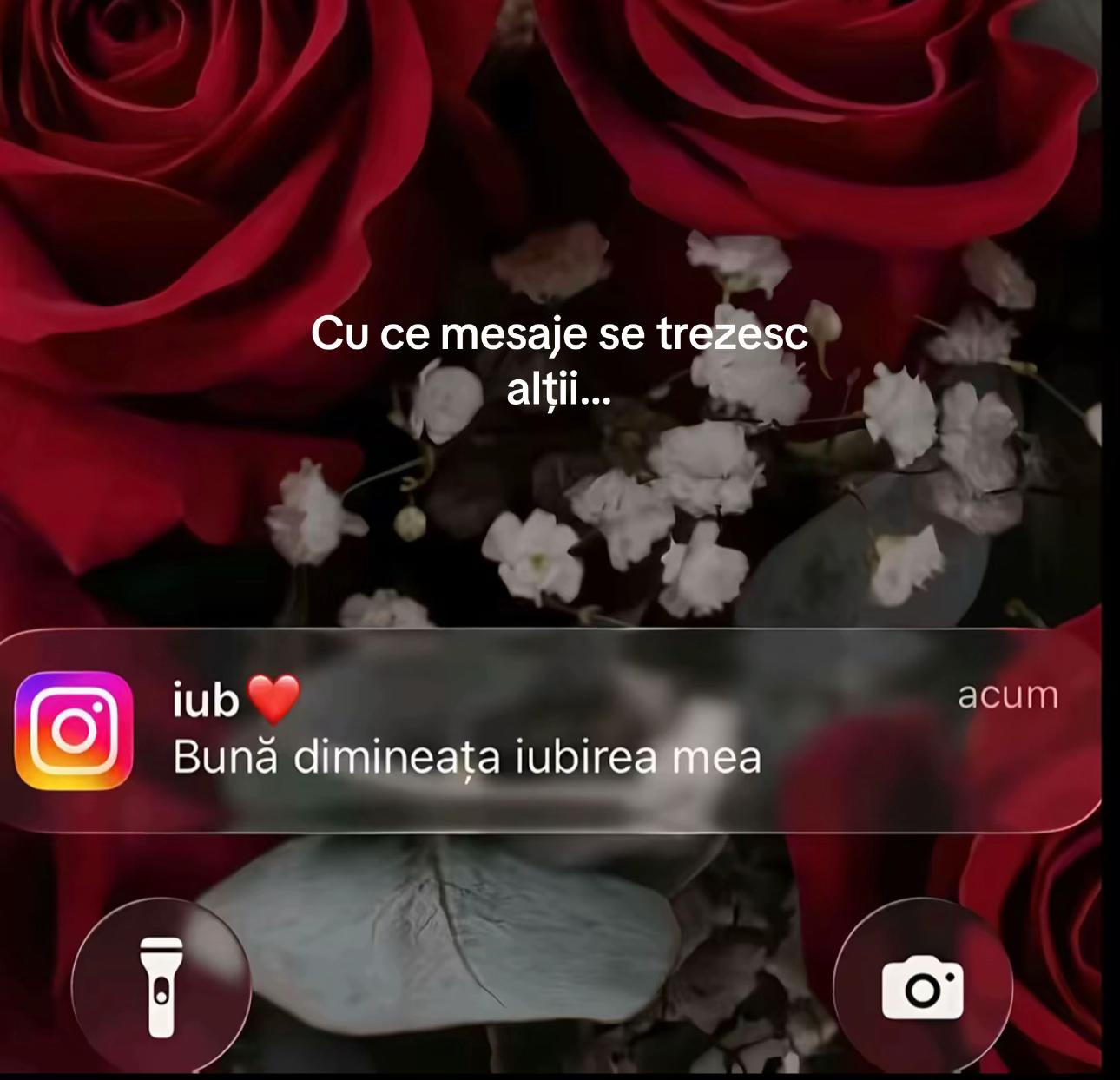 @Gariana