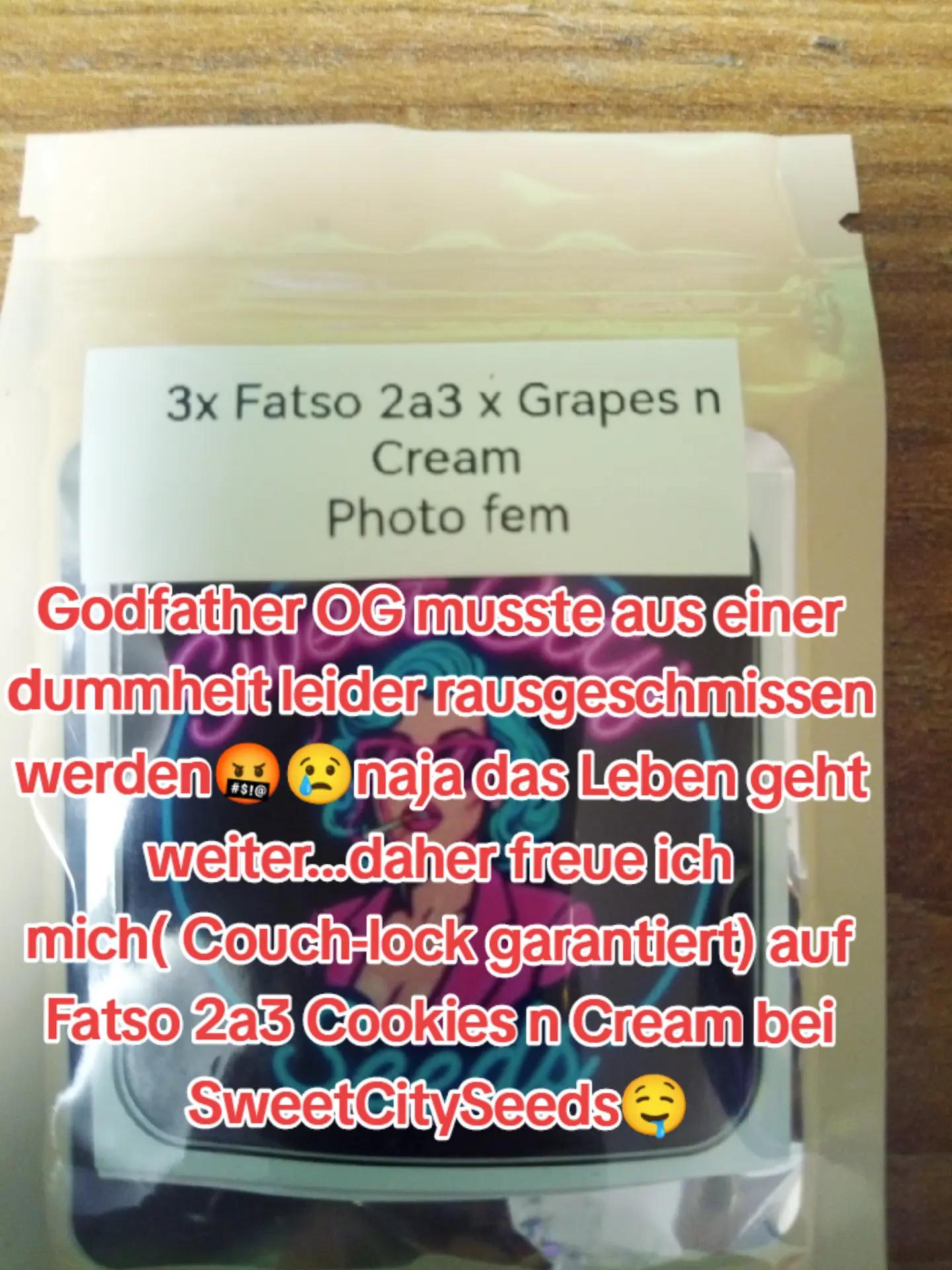 @420_Kaktus.Gurke_69