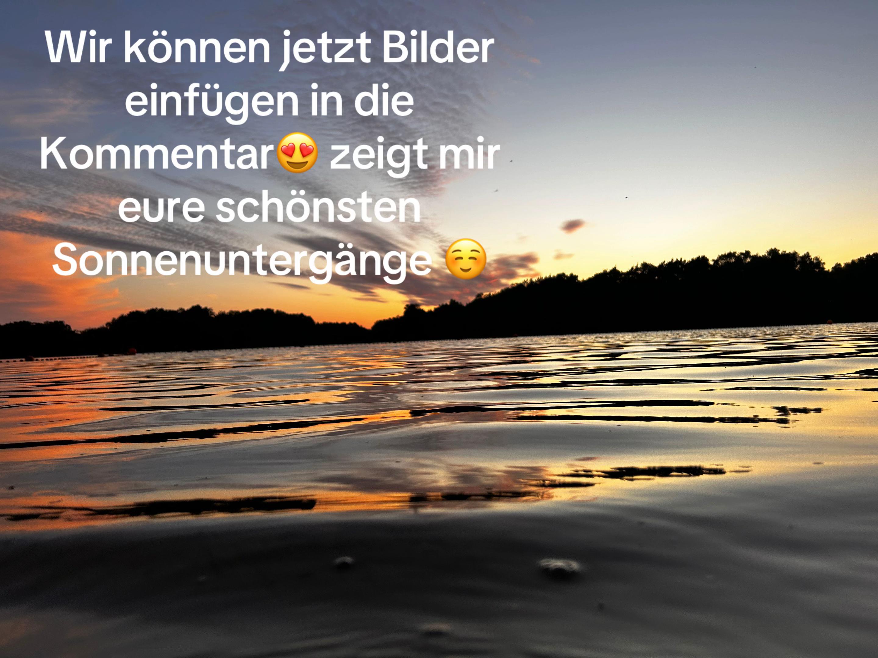 @lyann Rücker