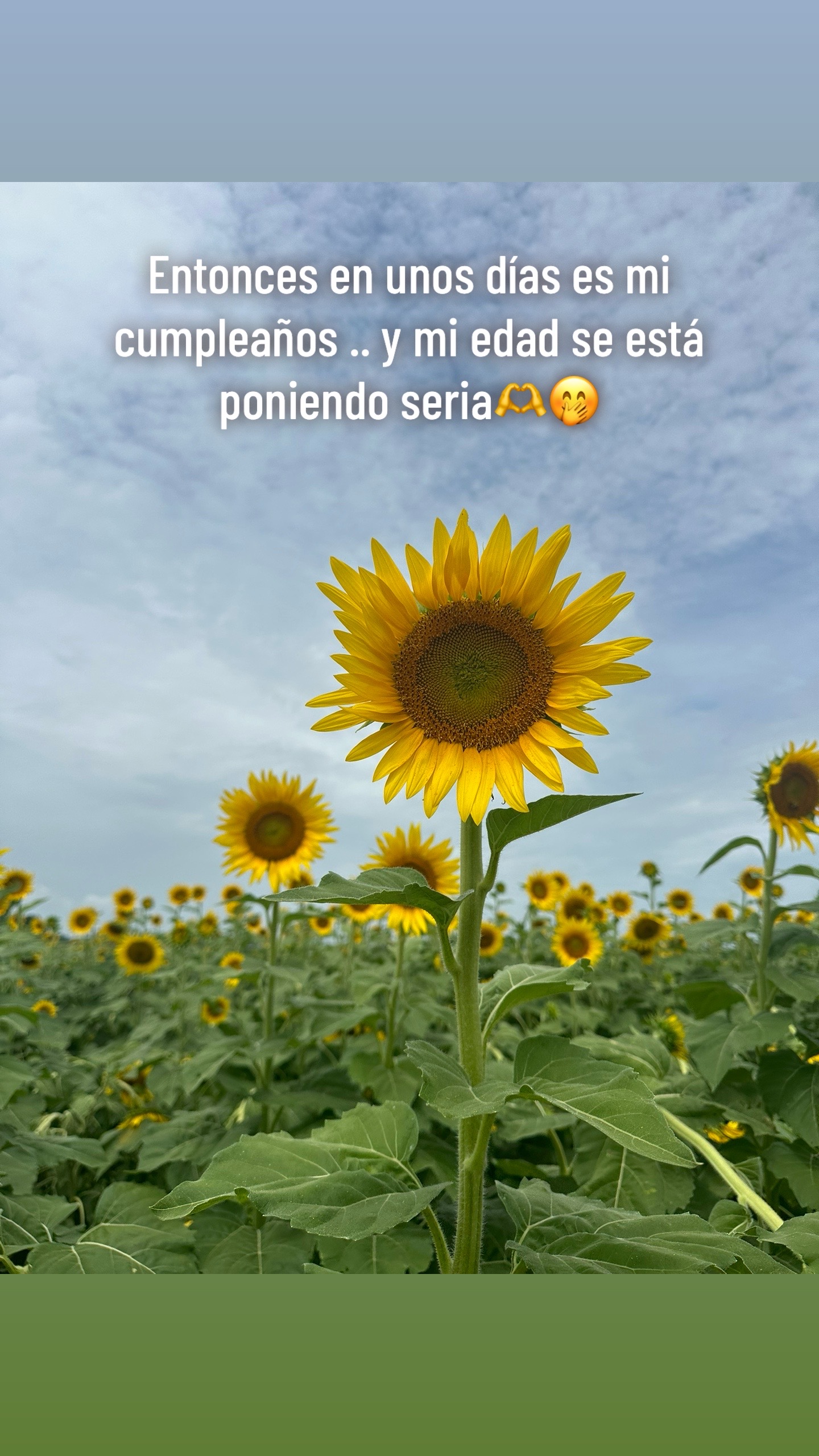 @yessi. cp