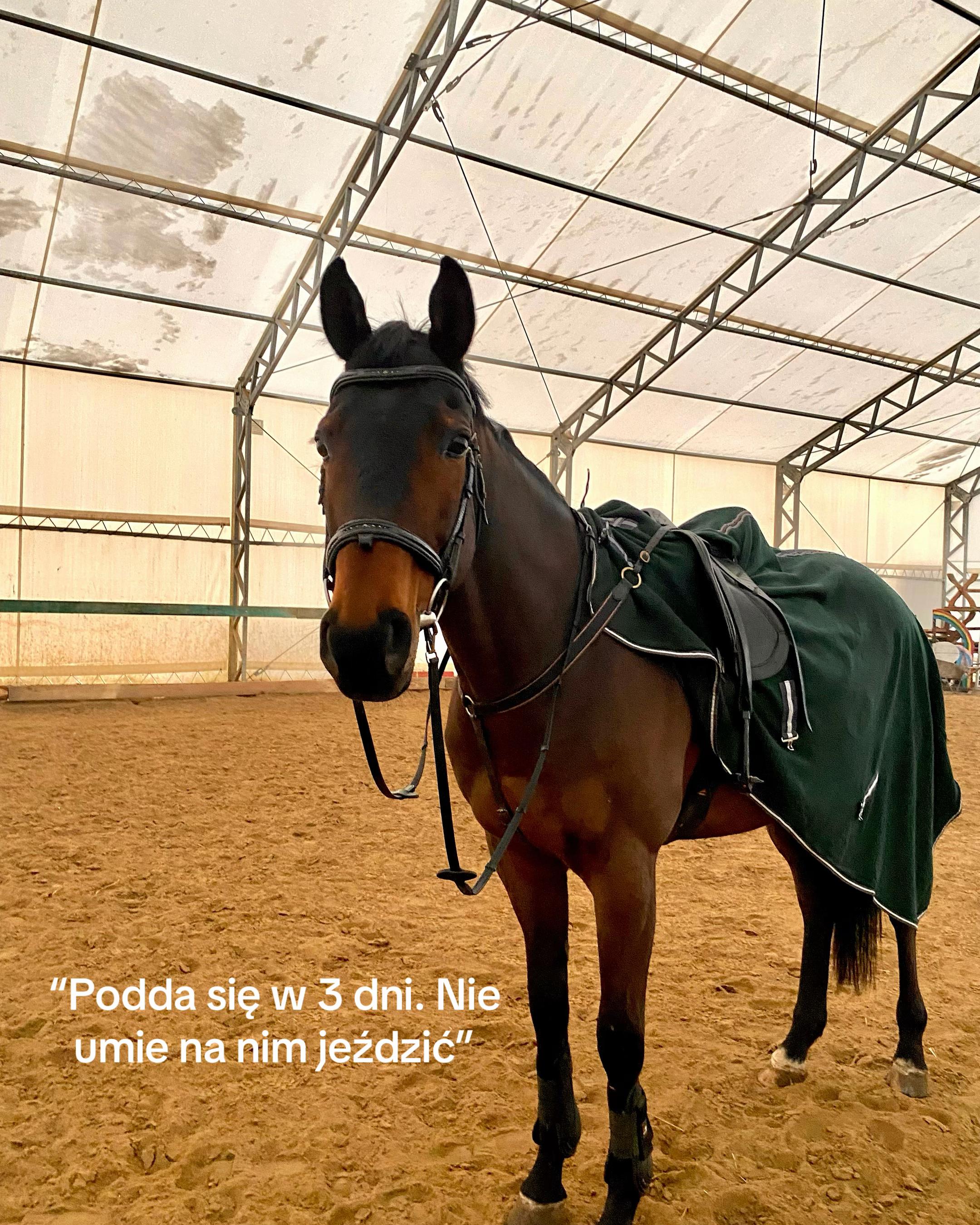 @zofka_eq