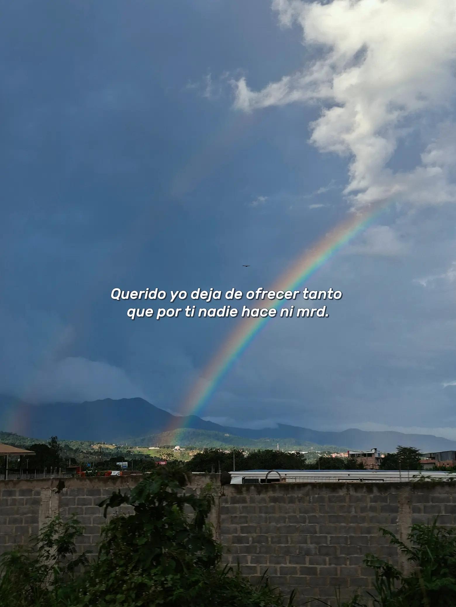 @PIERO P DAVILA