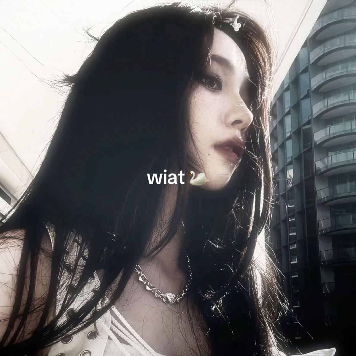 @⋆ ˚。⋆୨୧˚ 🦢