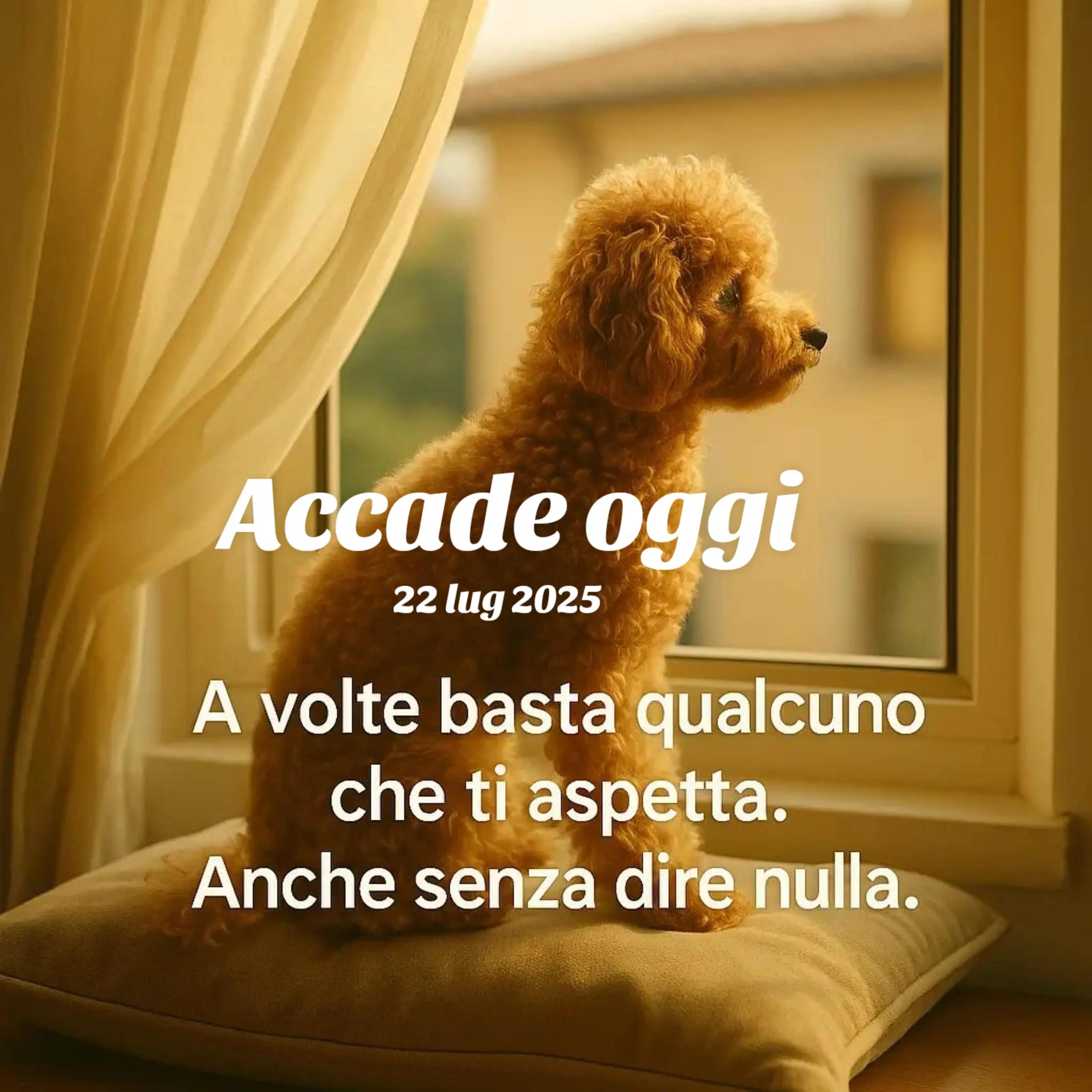 @Domenico Vibes