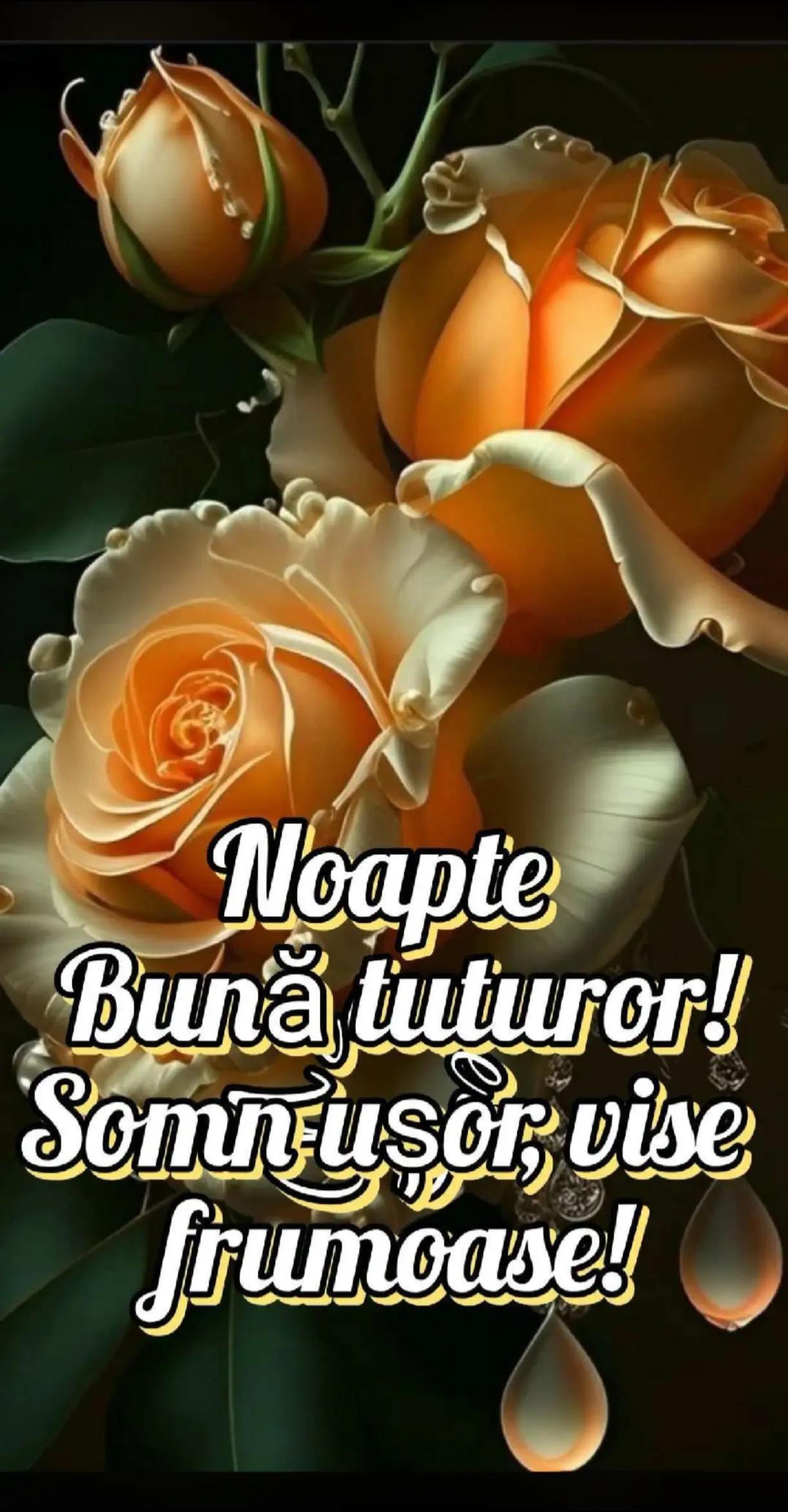 @𝓜𝓲𝓱𝓪𝓲 &hearts;️