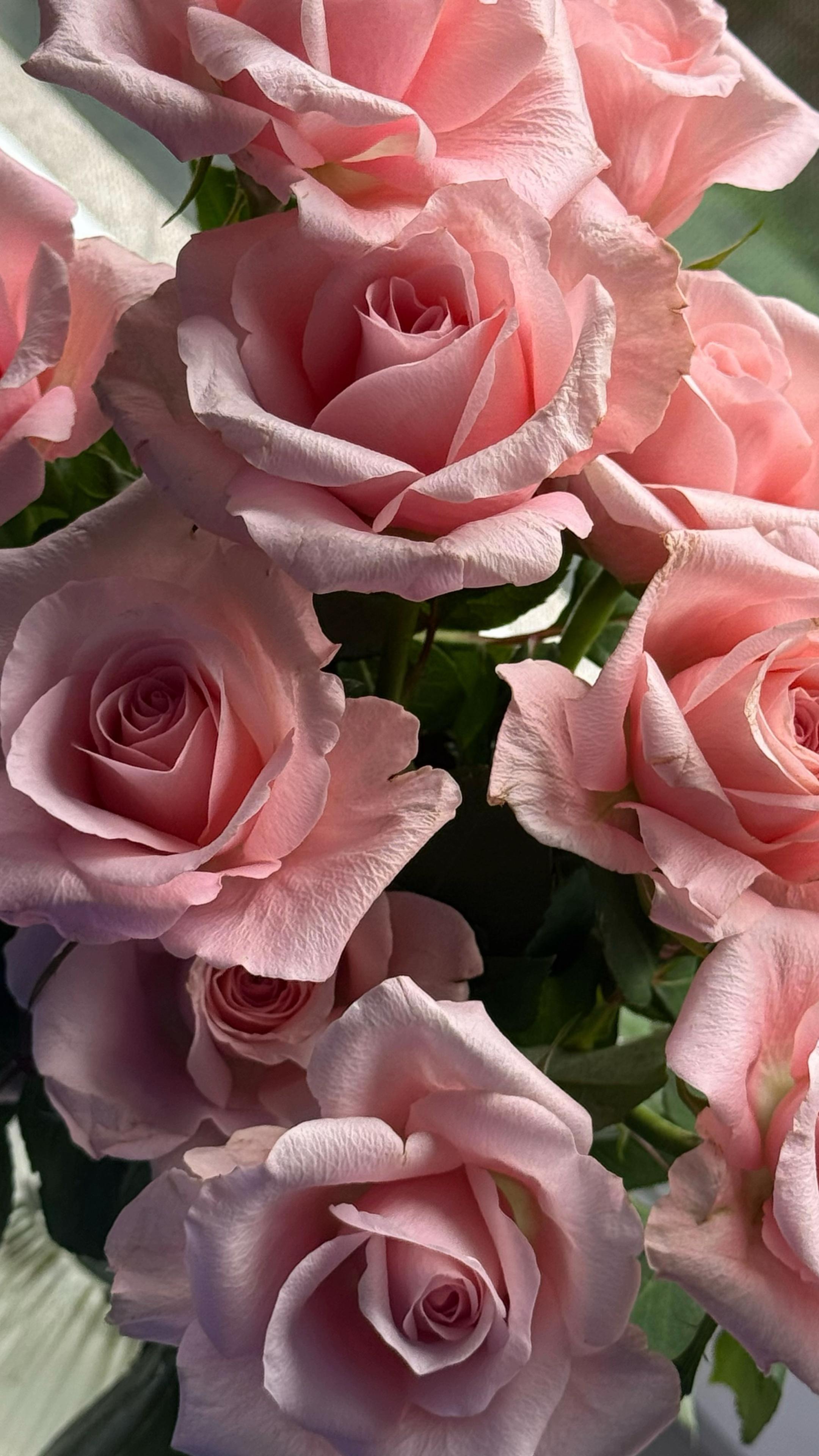 @𝒯𝑒𝓉𝓎𝒶𝓃𝒶 🌸