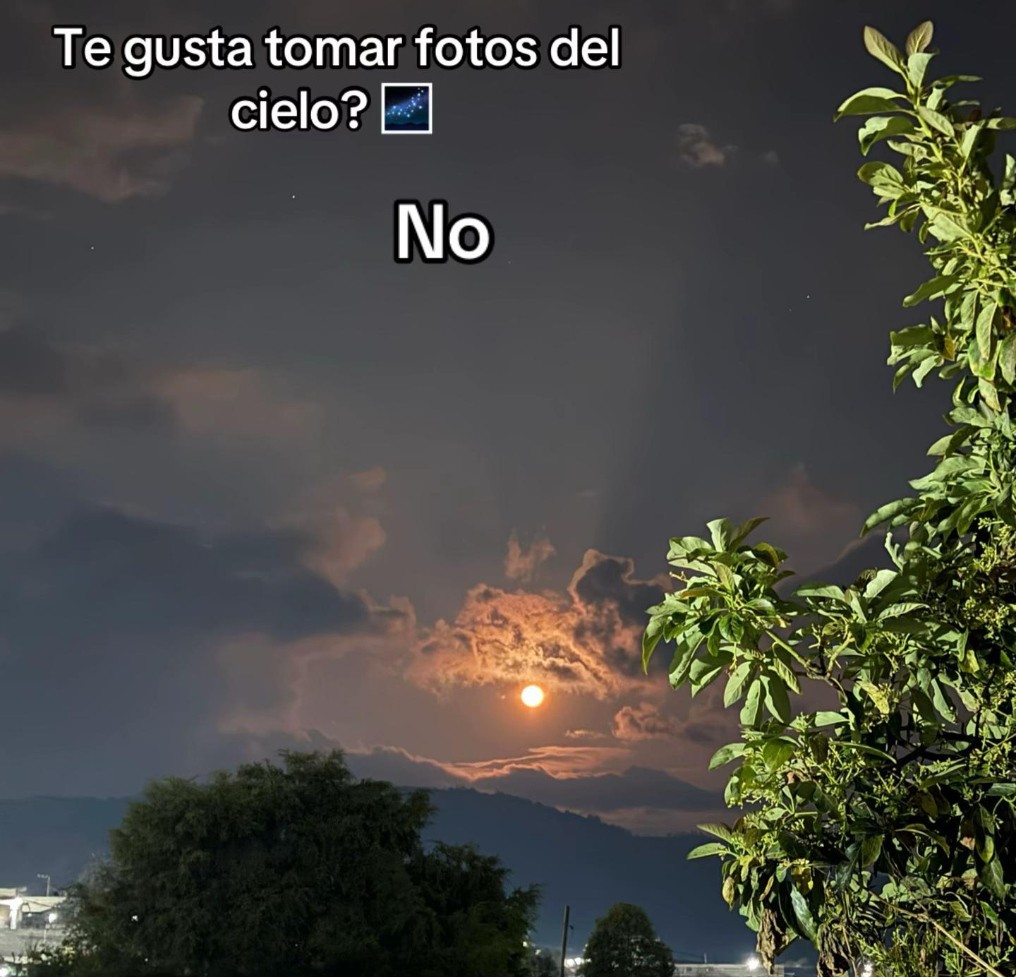 @ale_al55