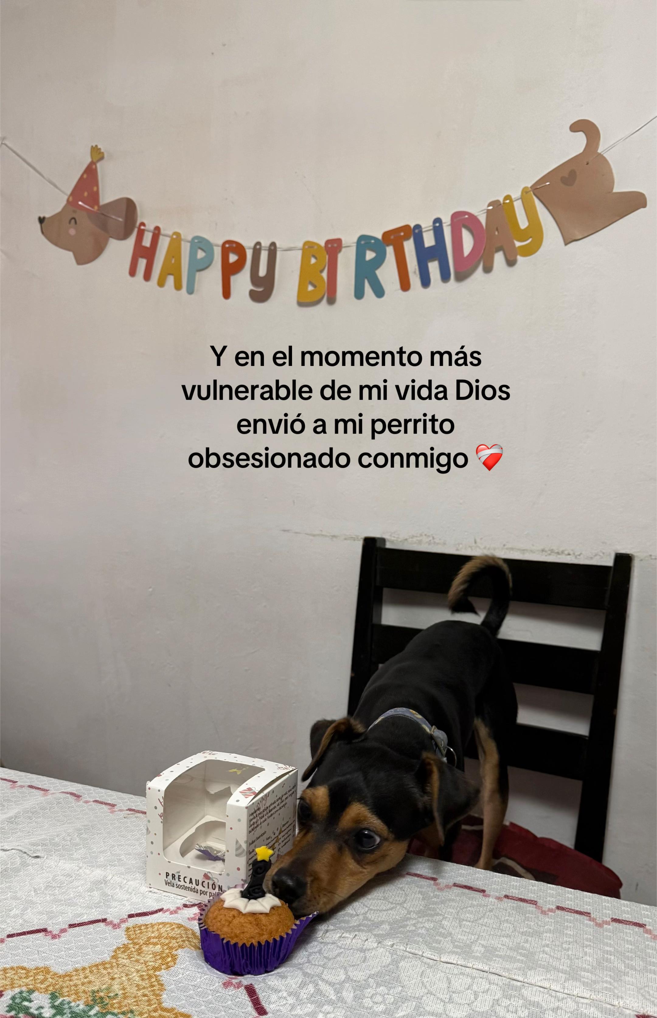 @Zam Montiel UGC
