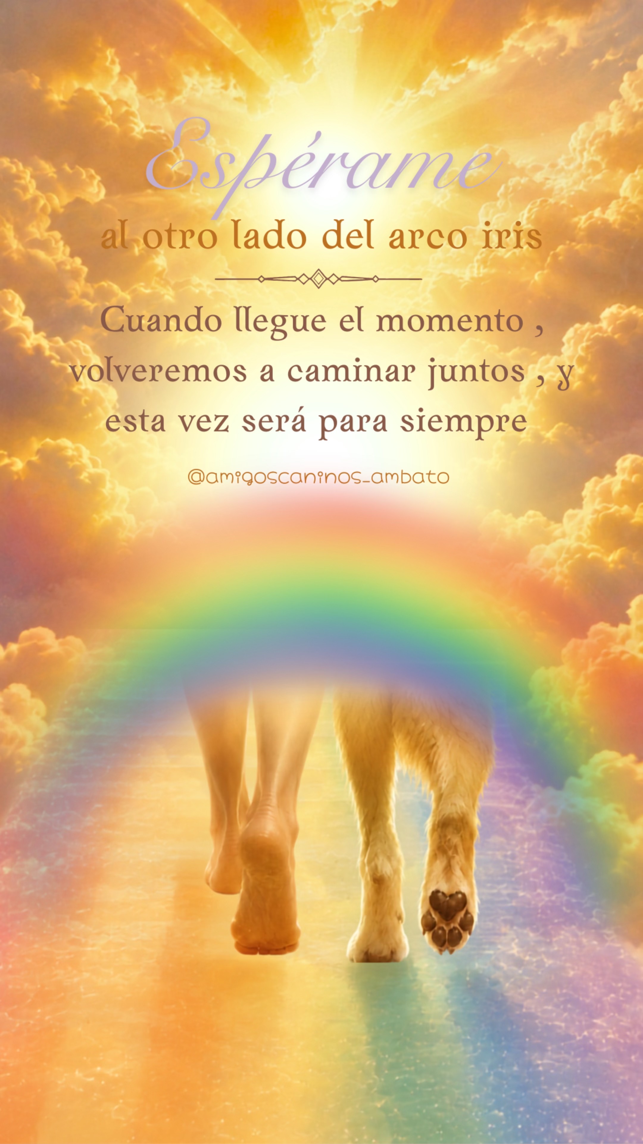 @Amigoscaninos_Ambato