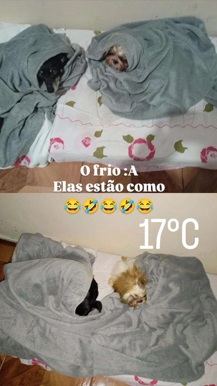 @Princesa