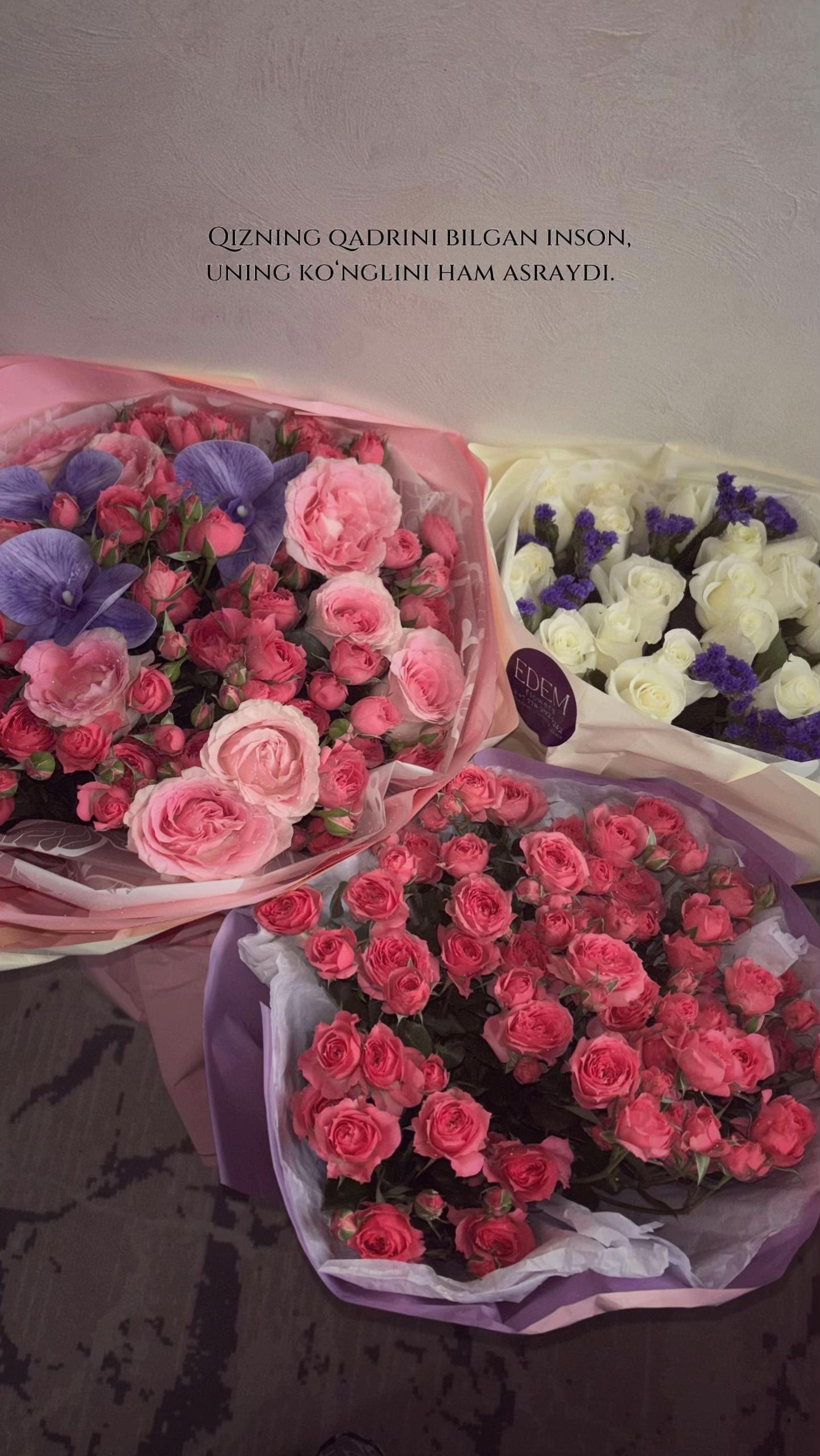 @𝒁𝒂𝒓𝒊𝒏𝒂💕