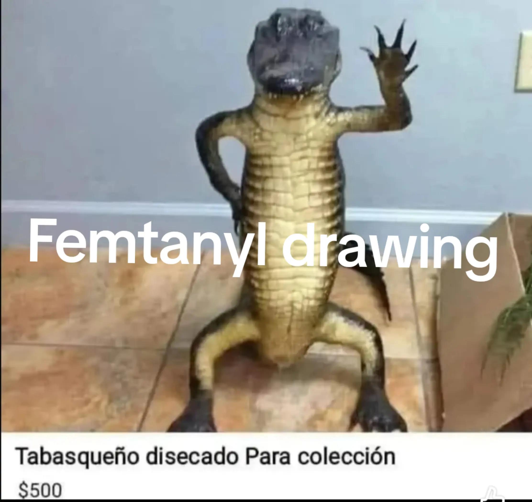@SoftyRB