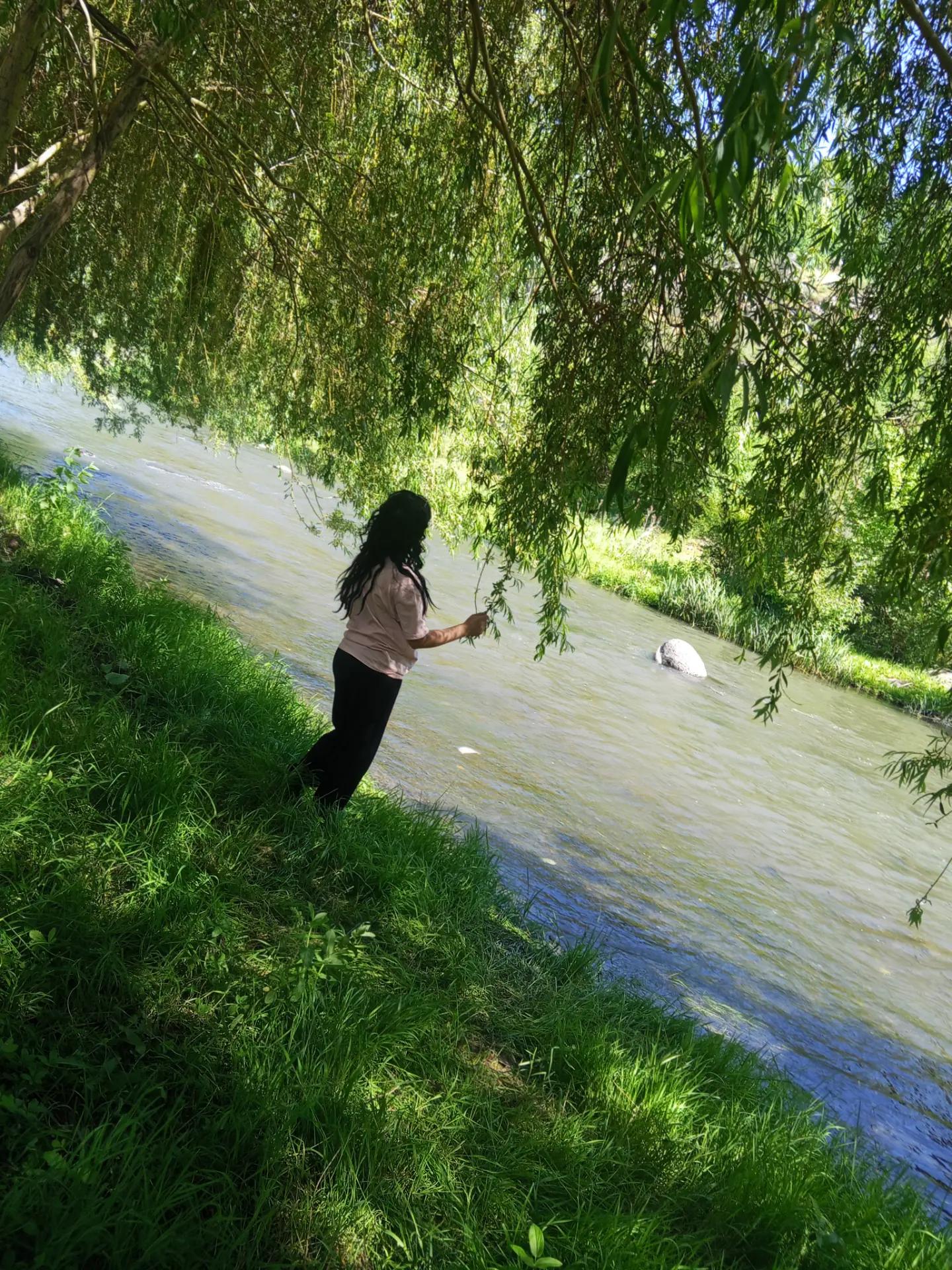 @Meri Sargsyan