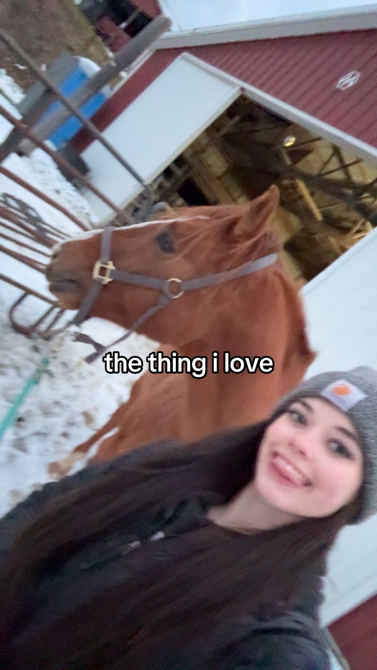 @kari
