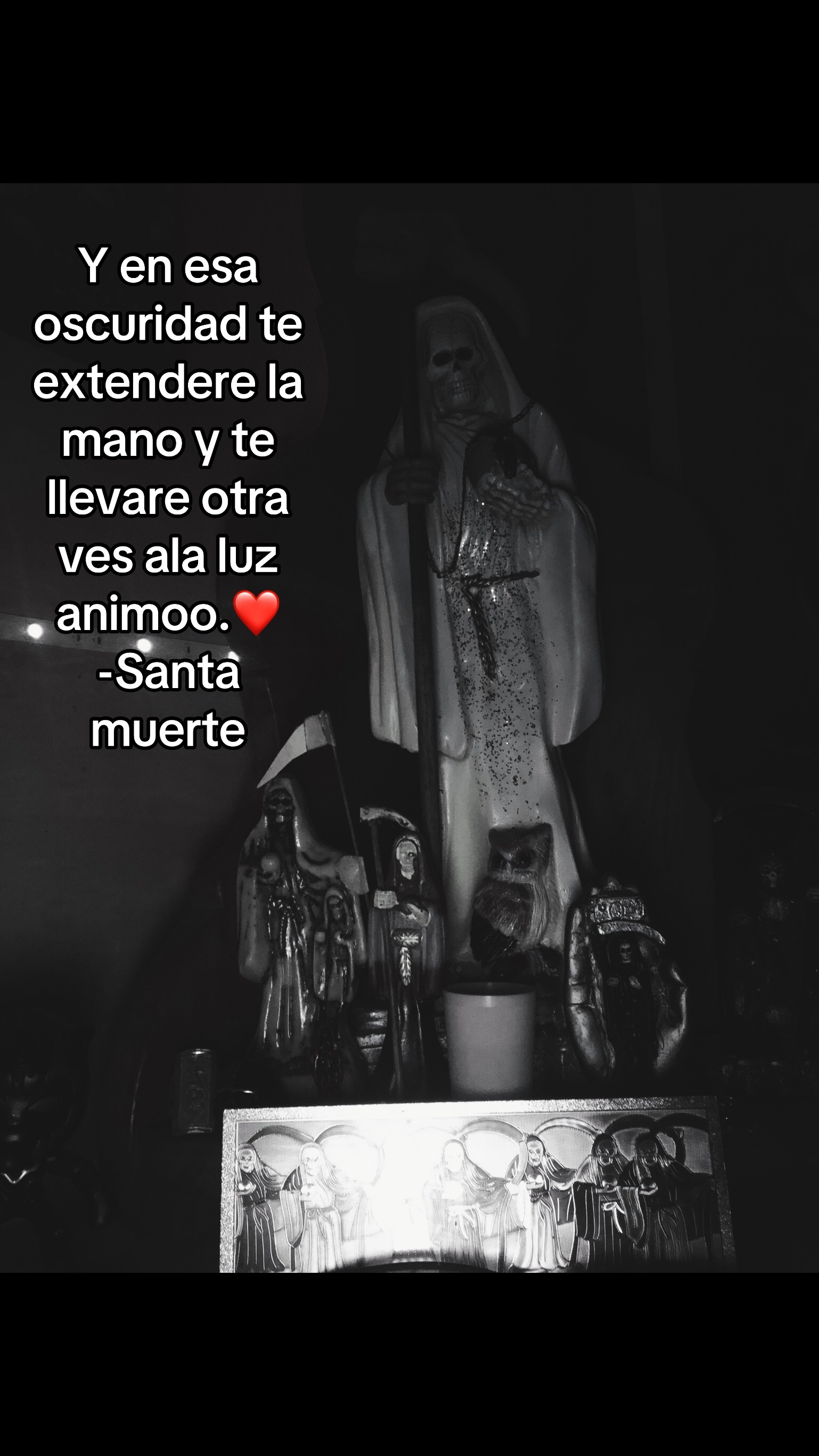 @El Gonzalez 664 👹🔱
