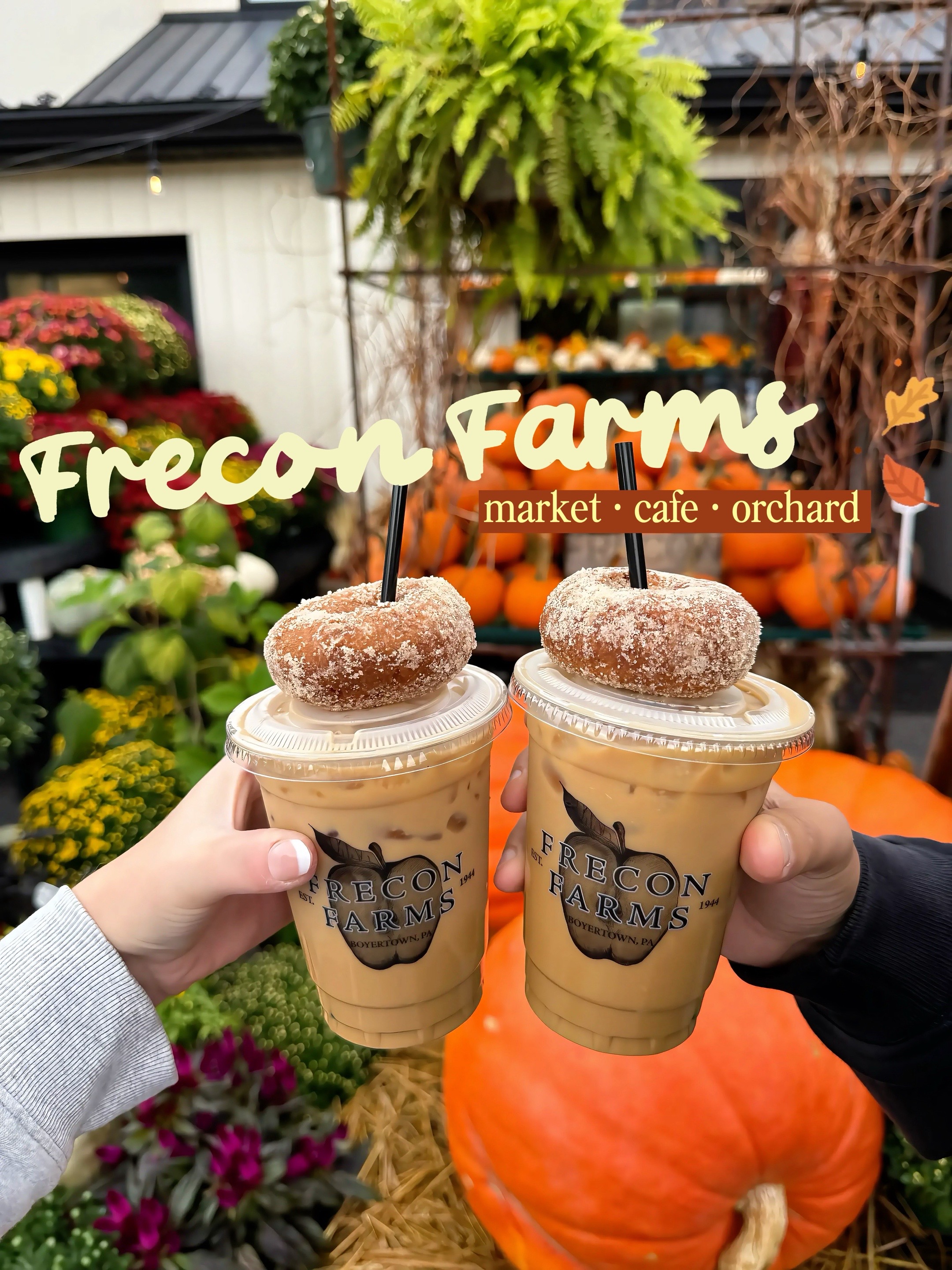 @Lauren & Aaron | Travel & Food