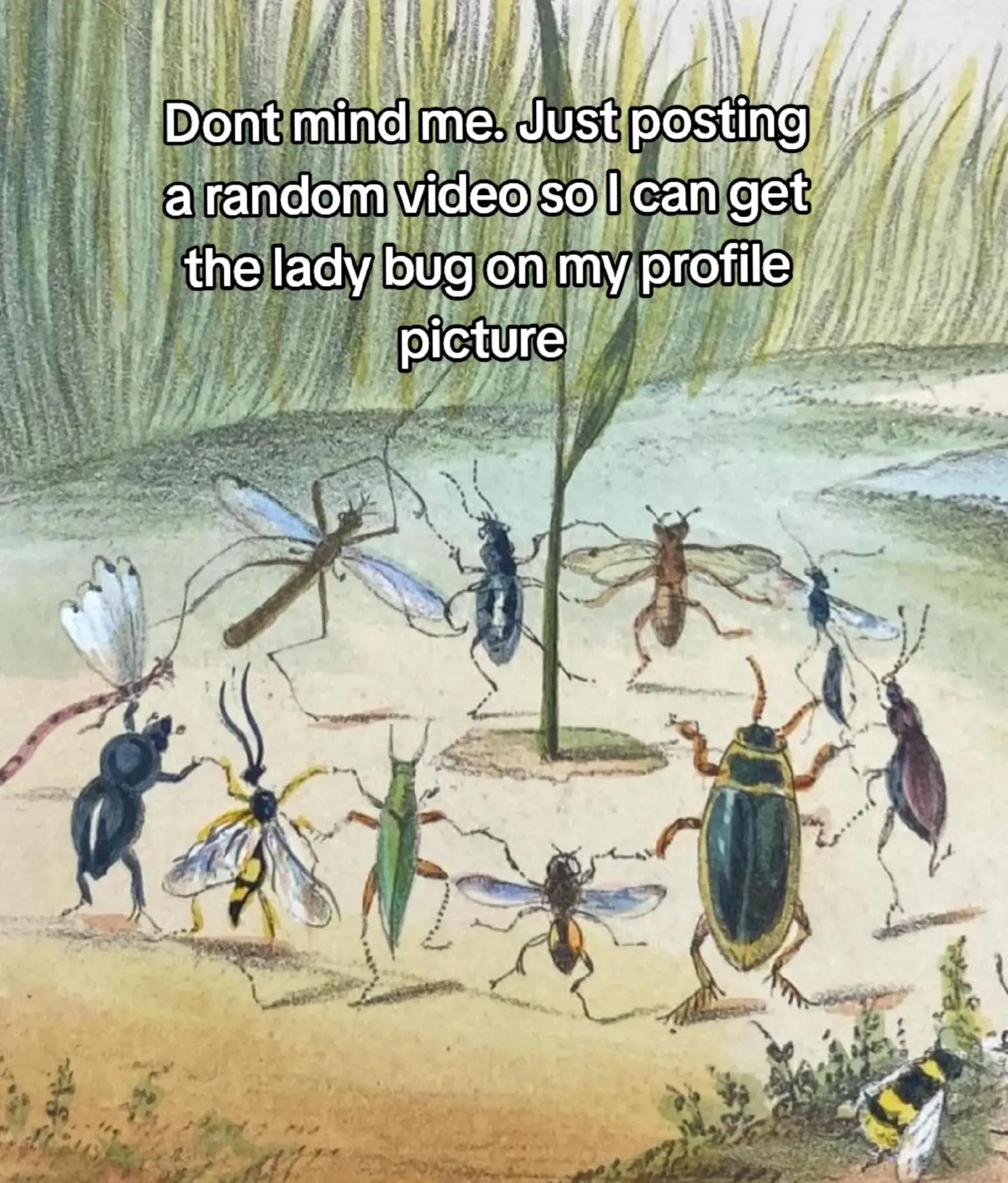 @Sarah