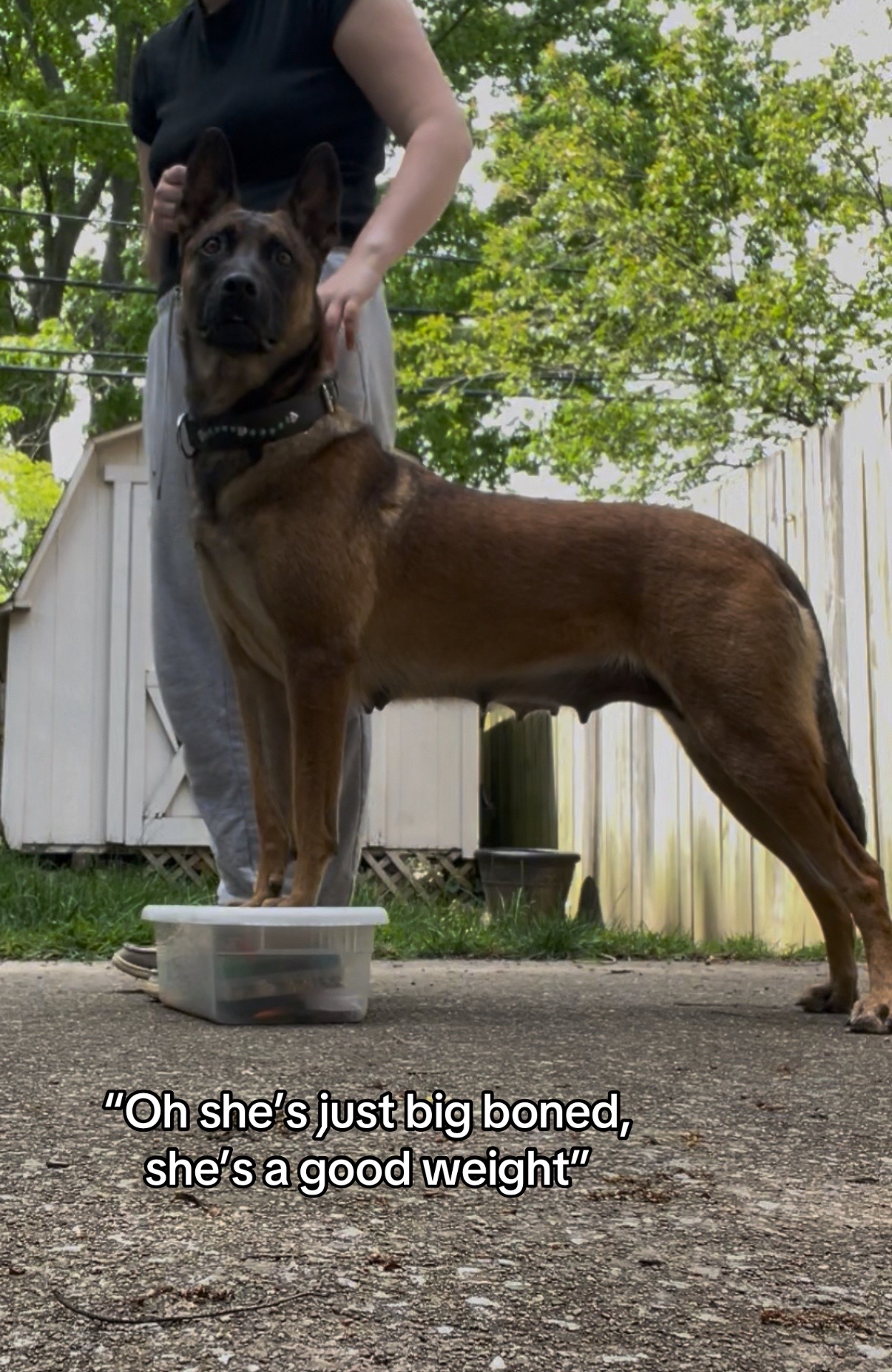 @driven.k9s
