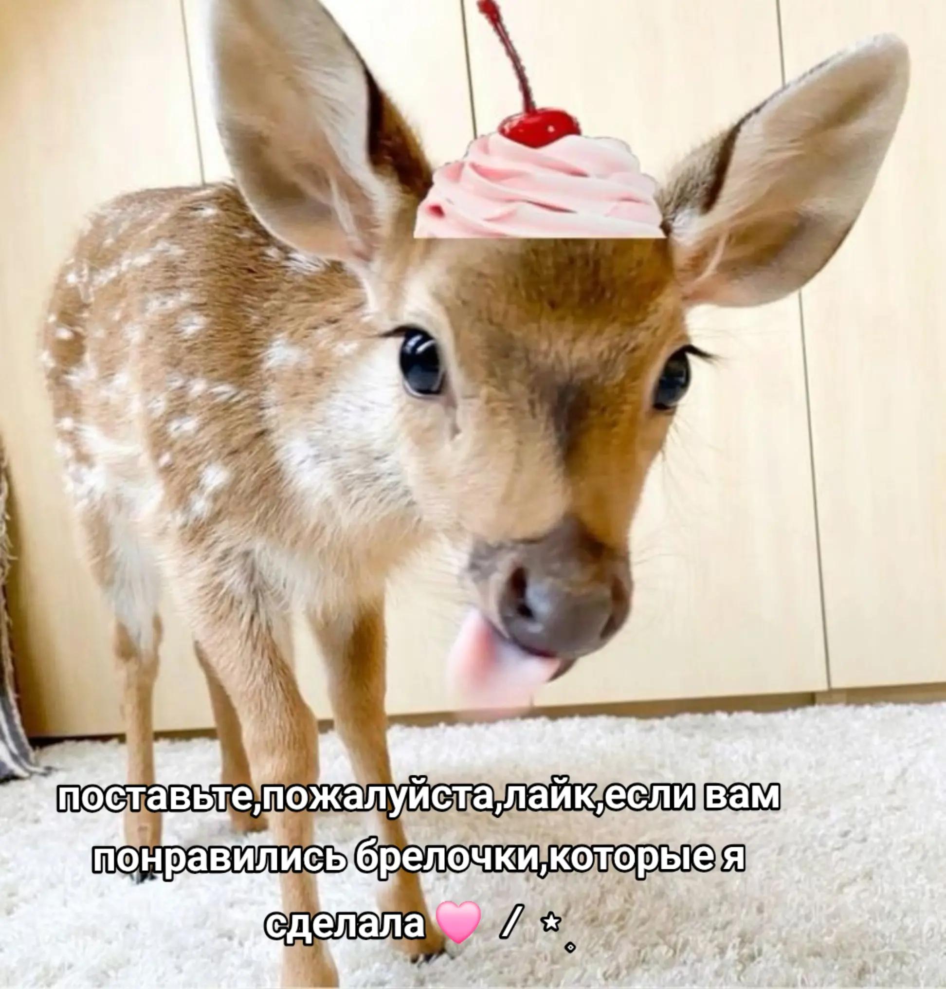 @☆ герой эквестрии ☆