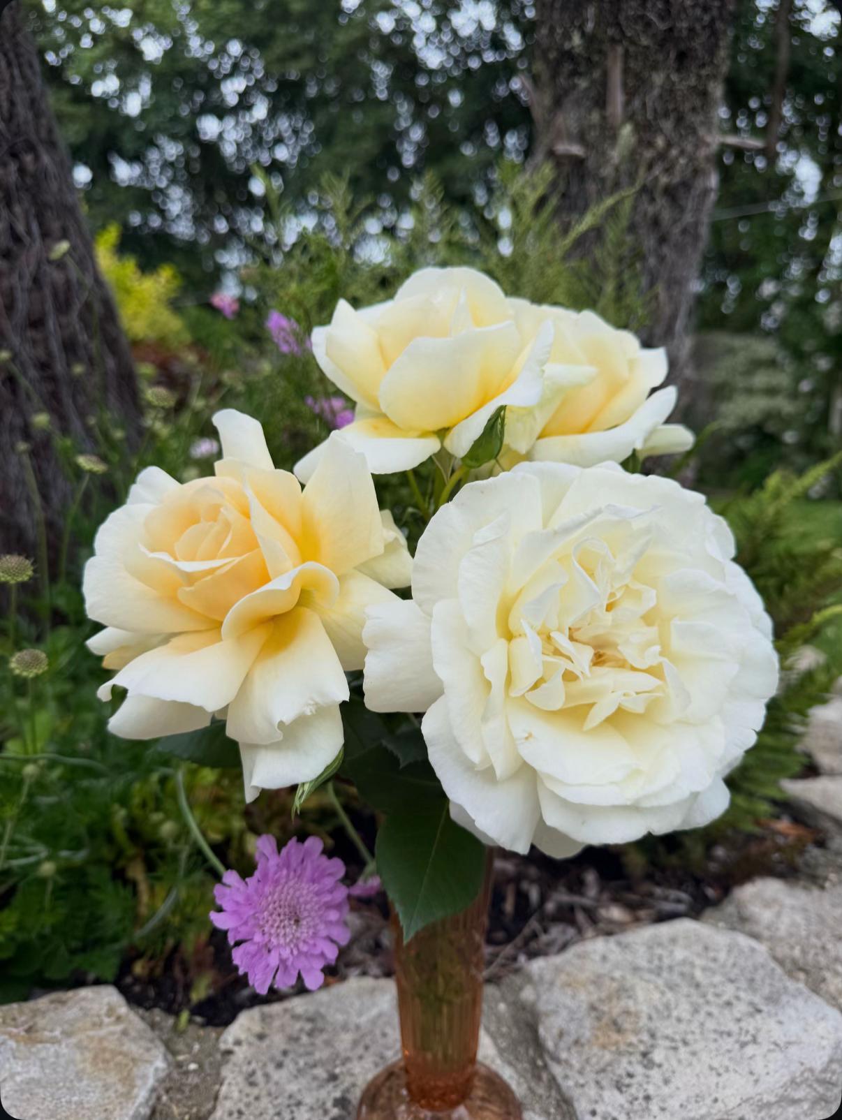 @#gardenerben