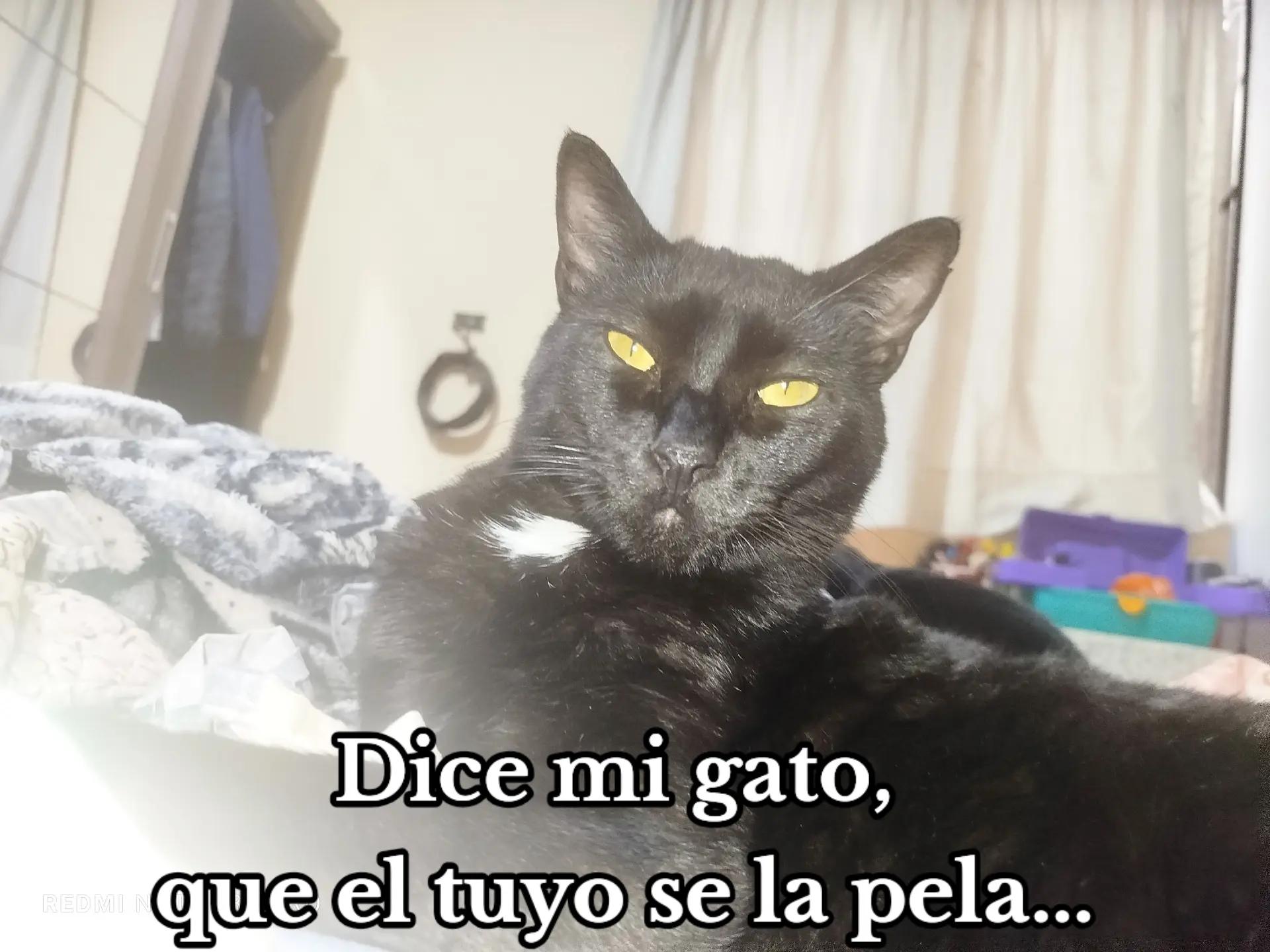 @HeiiMii