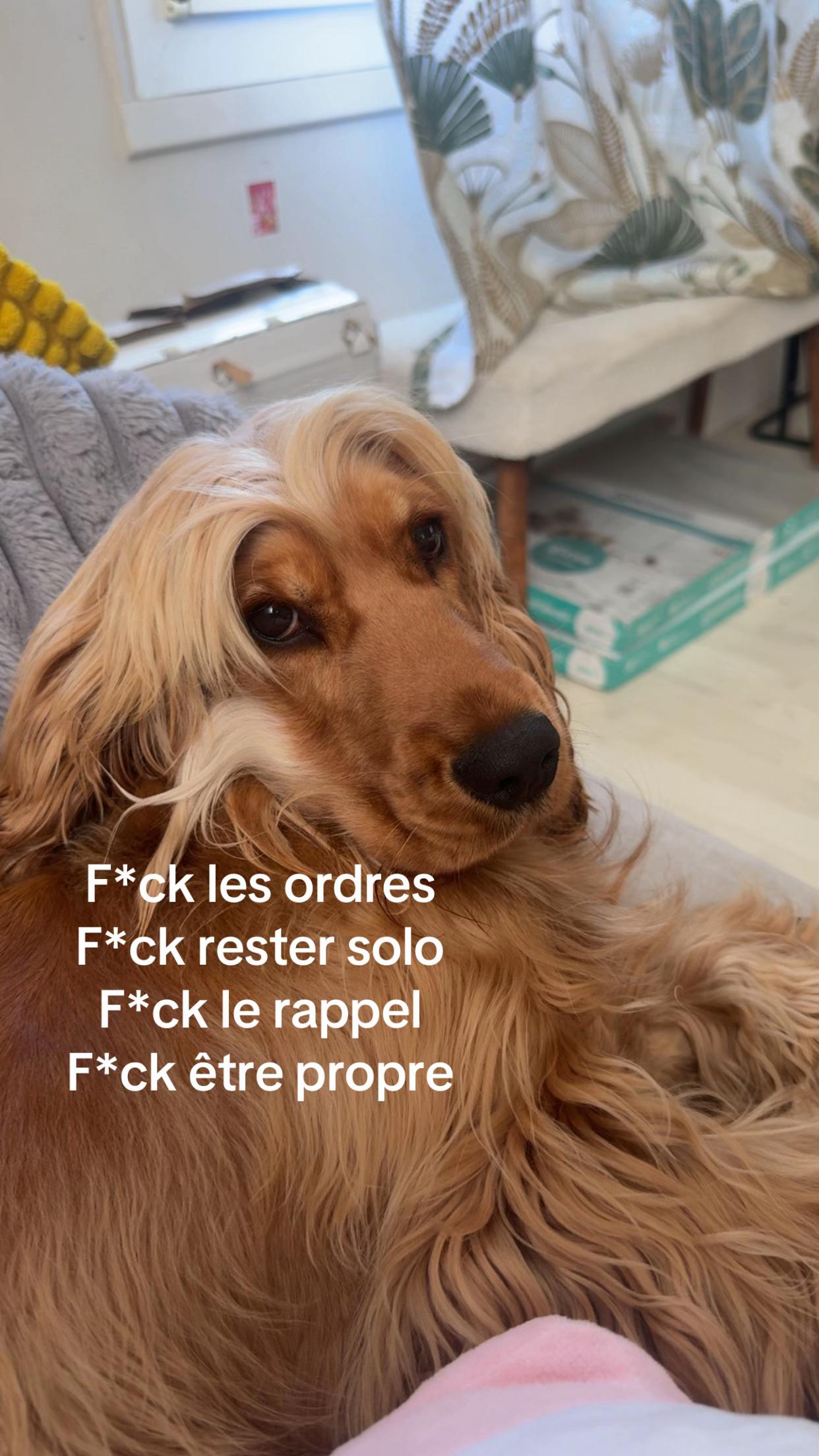 @loiisebft ✰