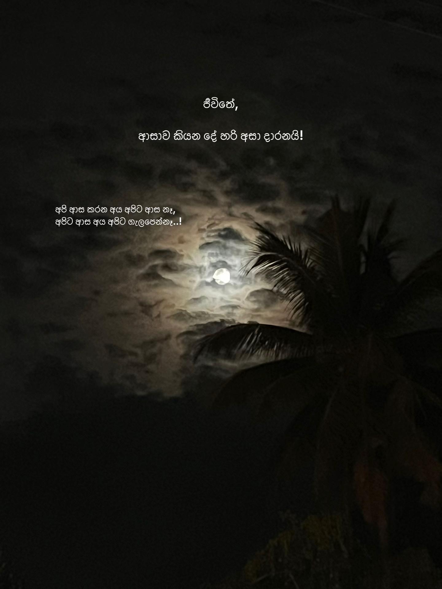 @08:28🔮ᥫ᭡