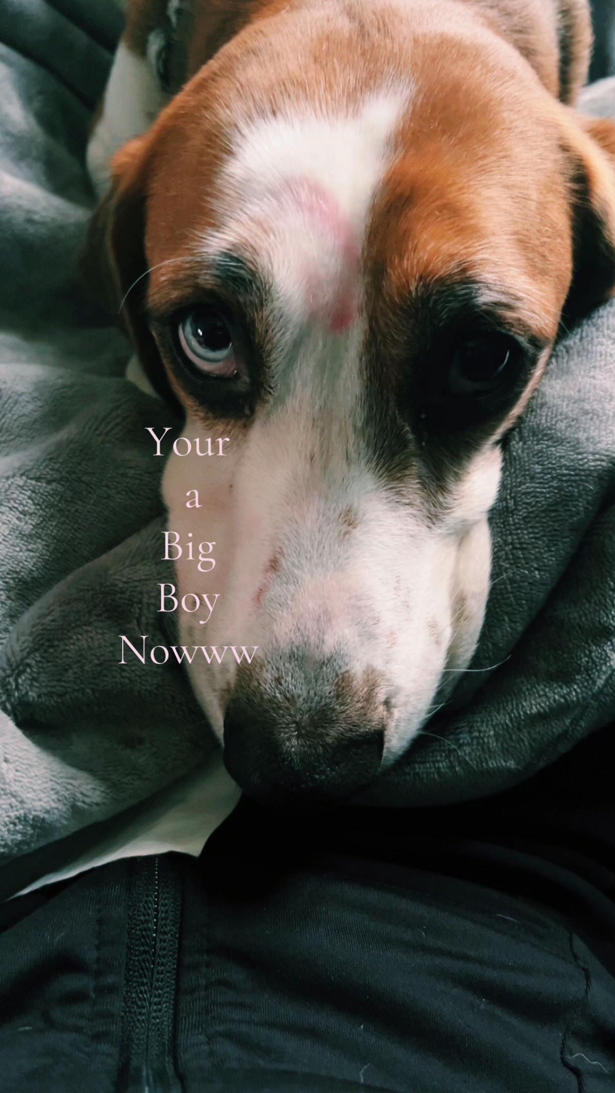 @Eli