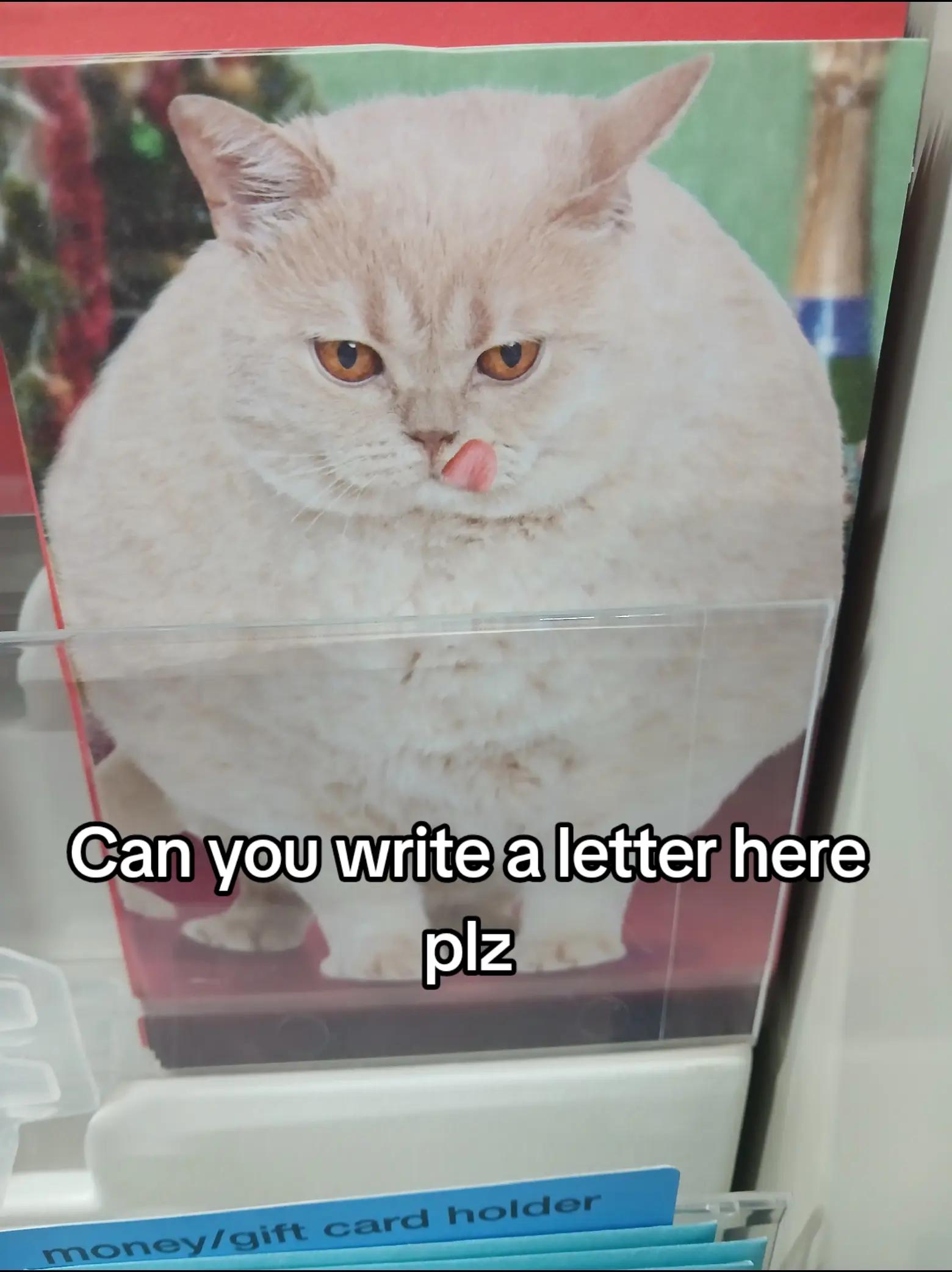 @โโฑ๐๐ข๐ชโฐโ๏ธ ๐ง ๐/โ๏ธ๐ช/๐๐