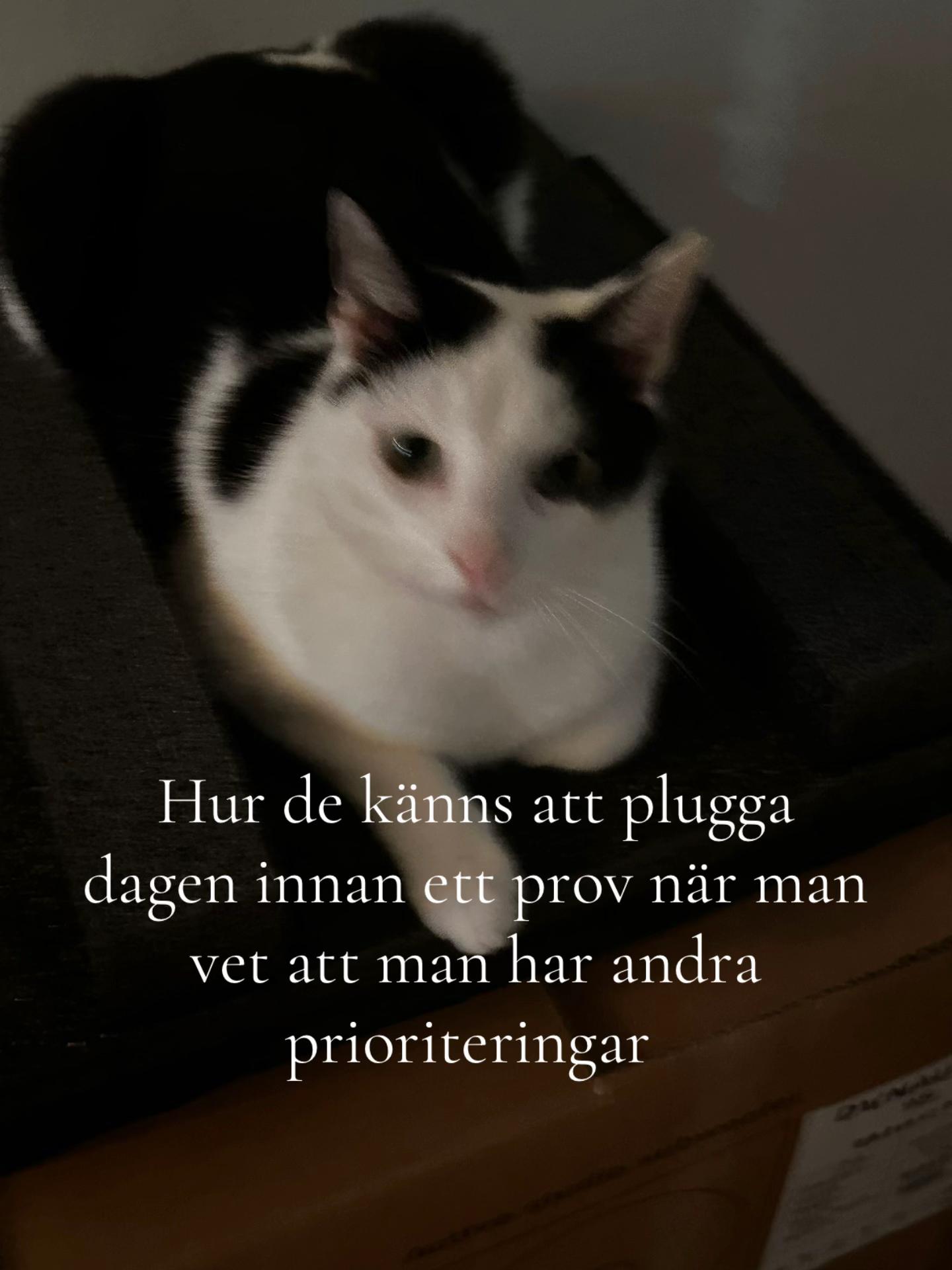 @HemligaHarry