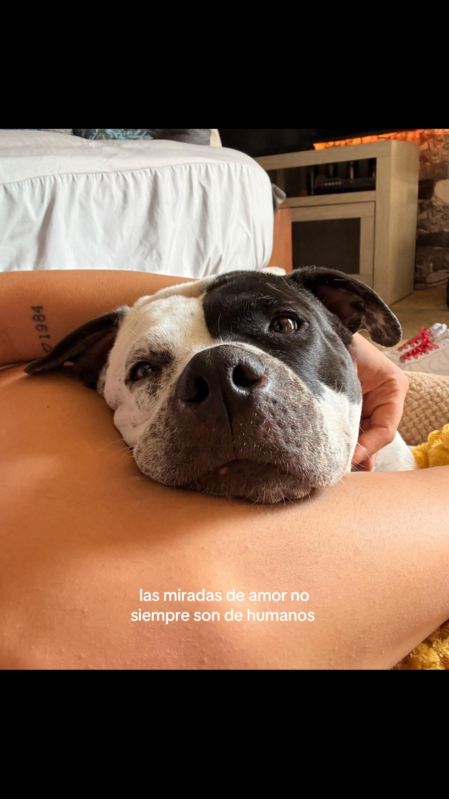 @Evee