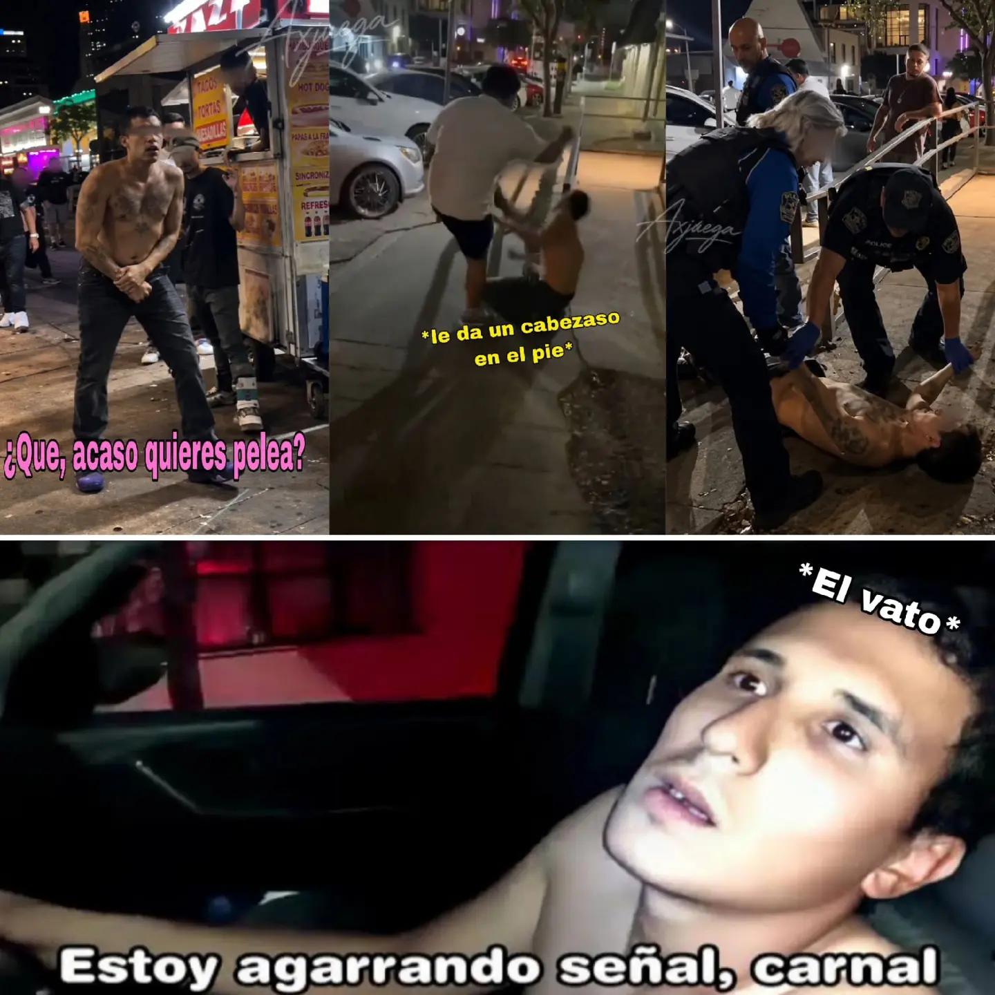 @🦁Francisco🦁