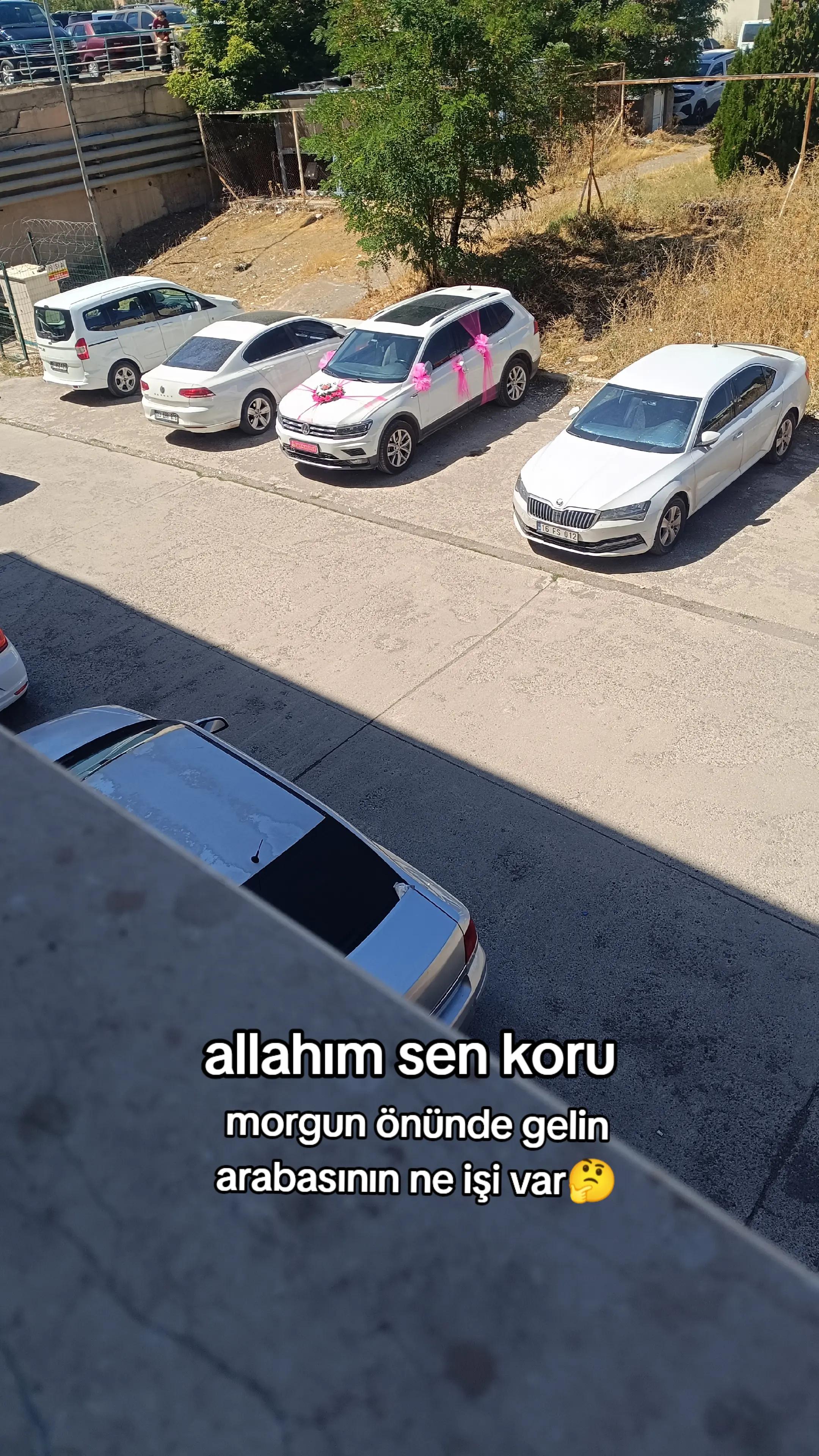 @@ Keça kurda 49 bulanıksayfası