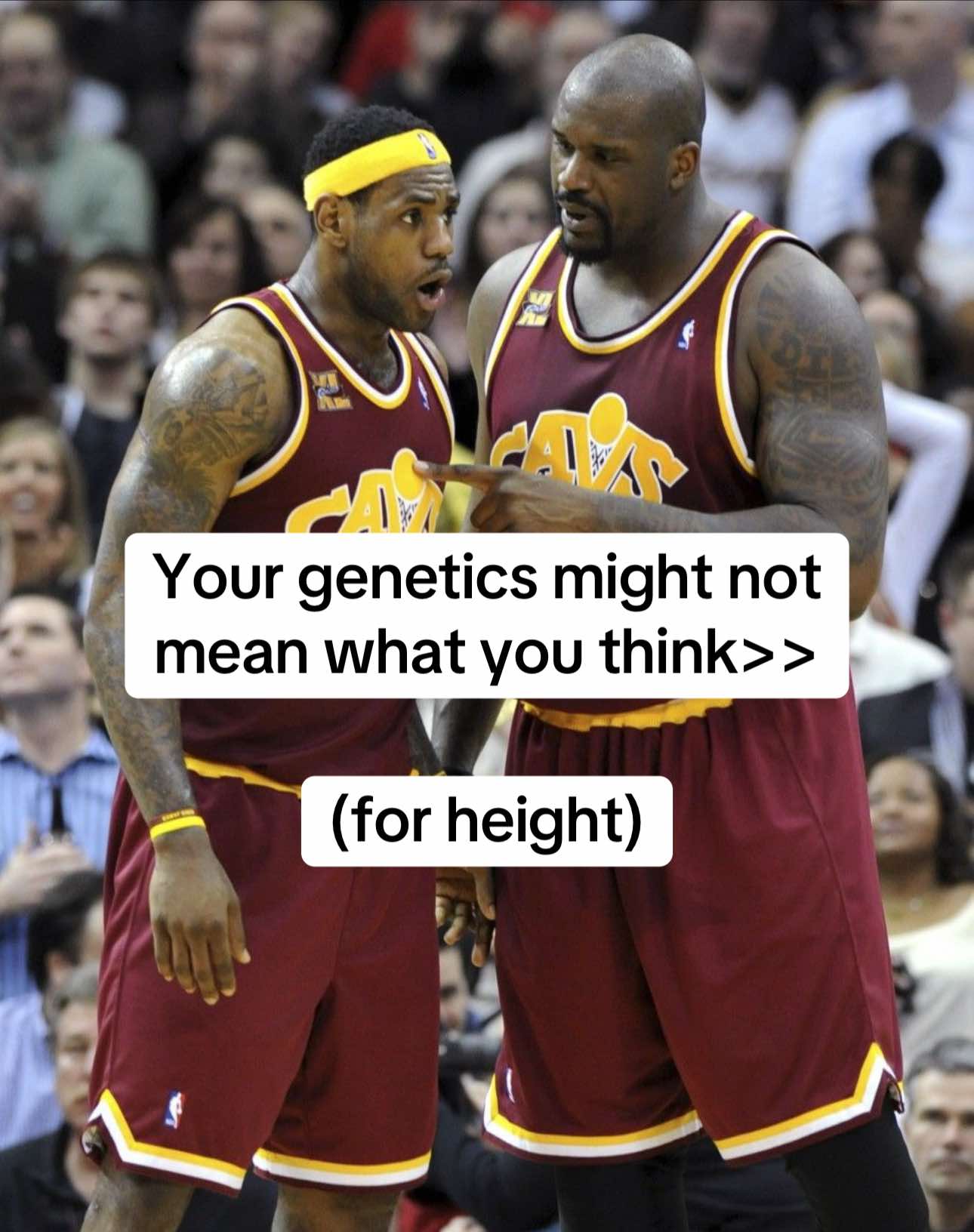 @HeightMax