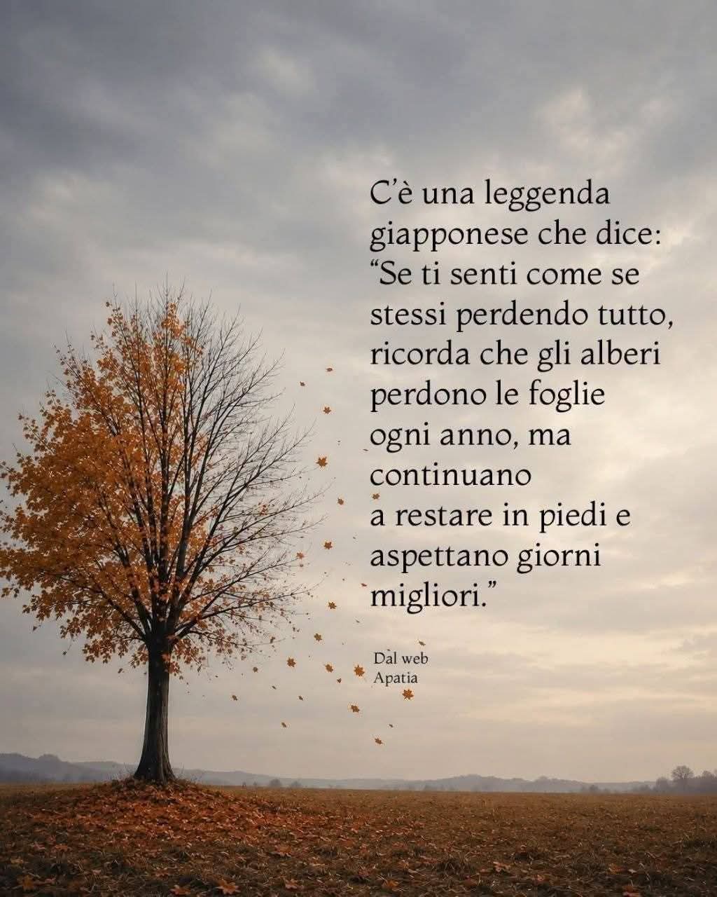 @Paola Di Caprio