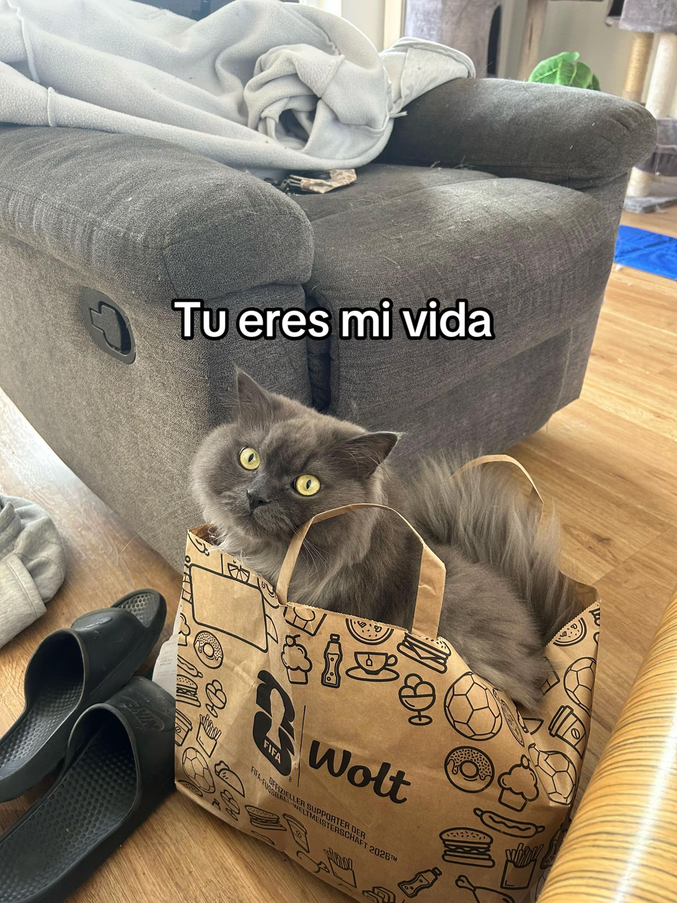 @jamila