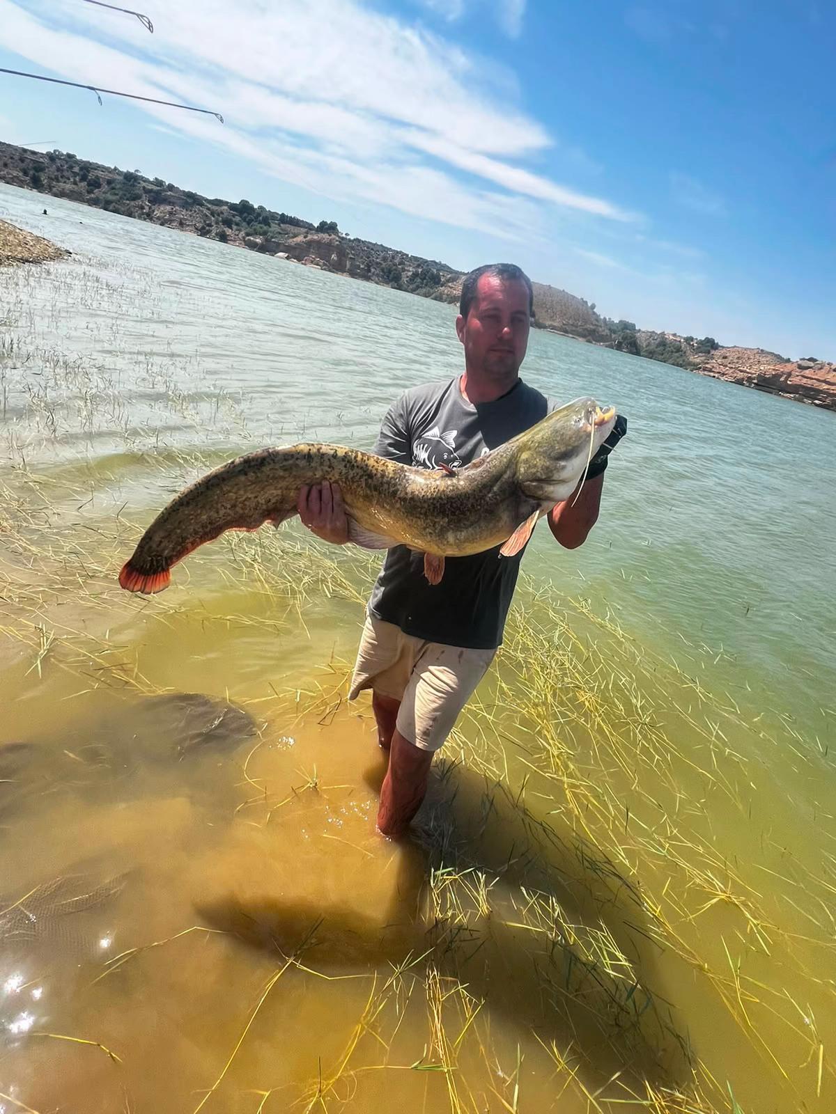 @Royal carp 🐟🐟🤩💪