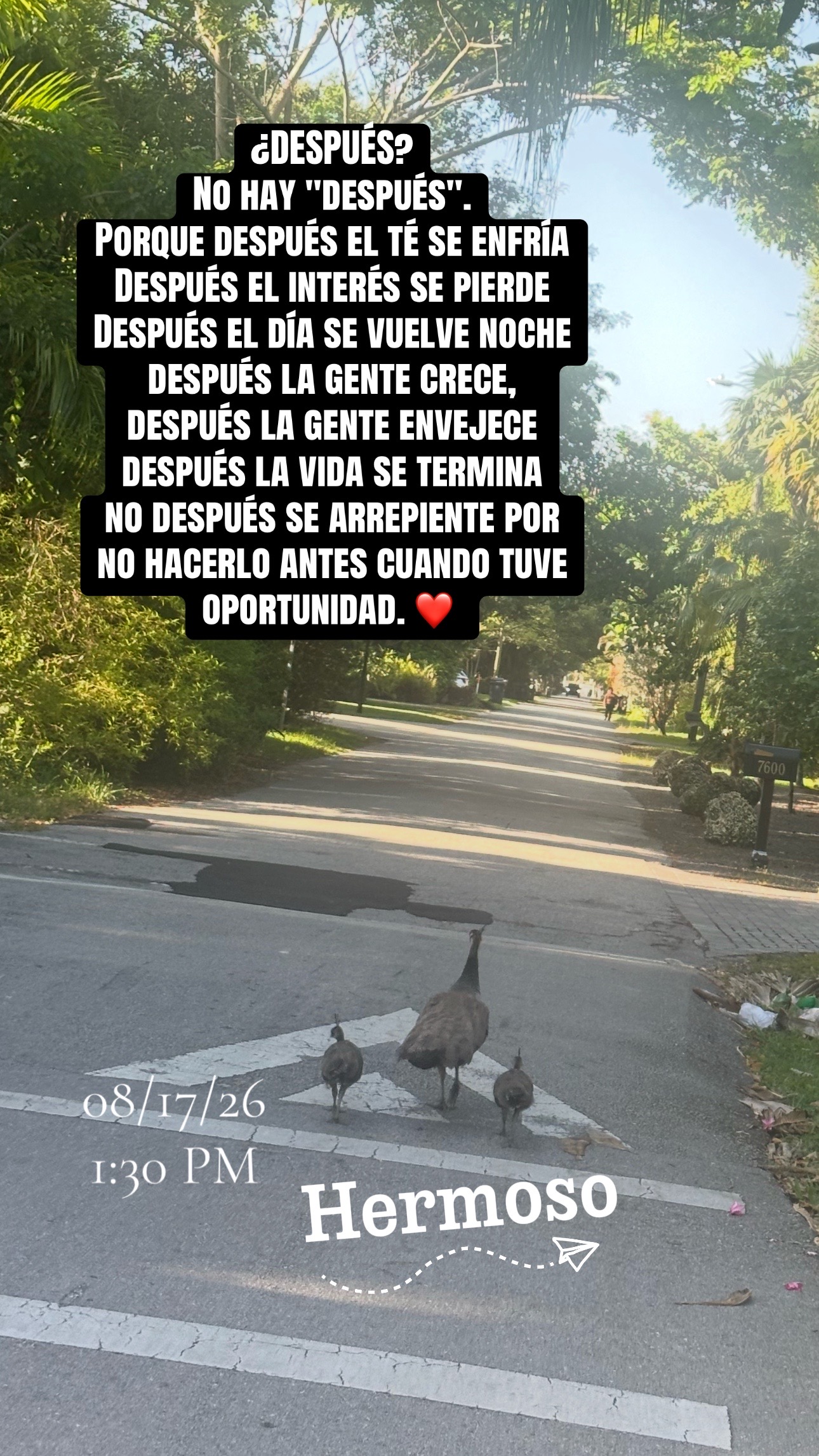 @marion Alvarado