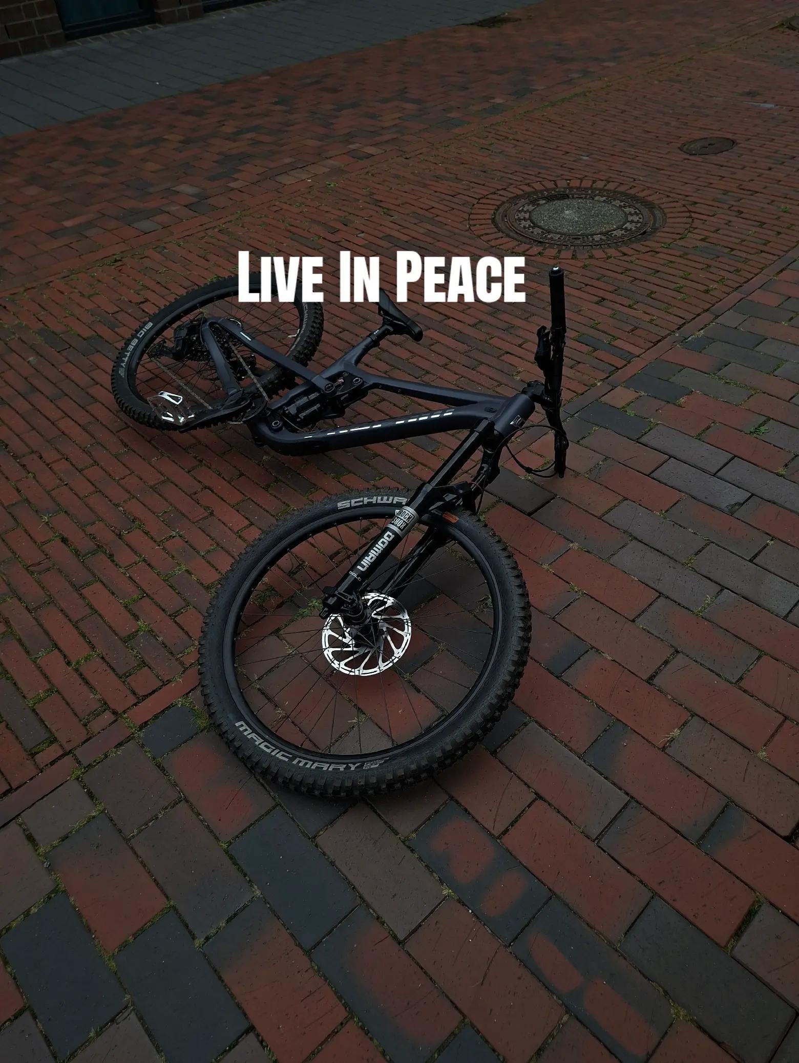 @Max.freeride1